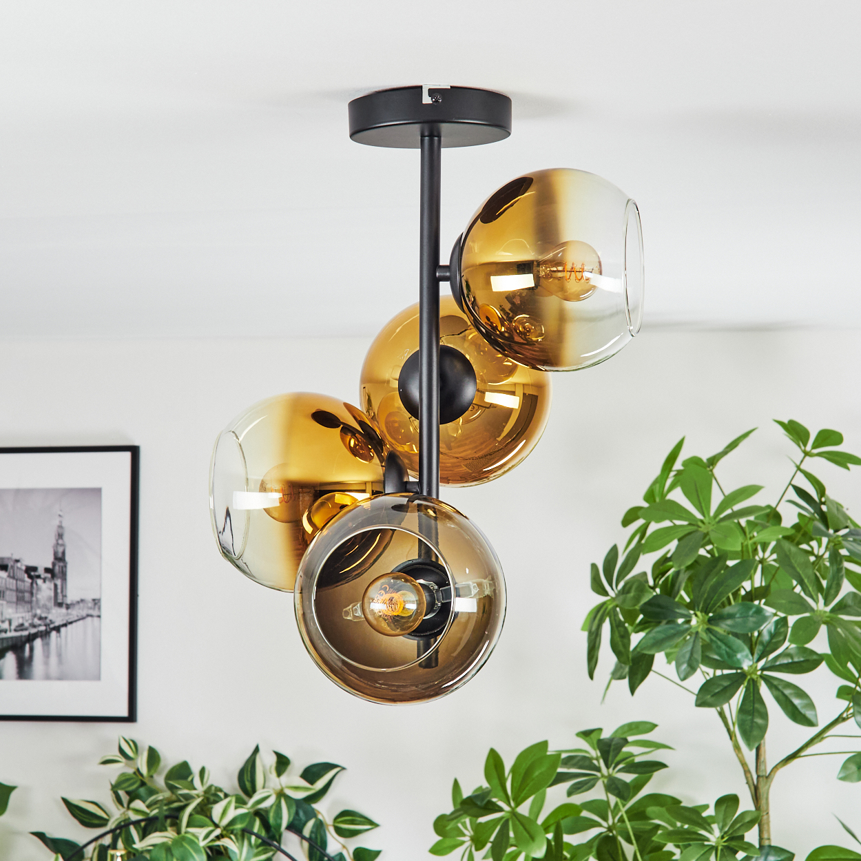 Eine moderne Deckenlampe mit vier bernsteinfarbenen Glaskugeln. Die Lampe ist schwarz, mit einer Glühbirne in jeder Kugel. Grüne Pflanzen im Vordergrund.