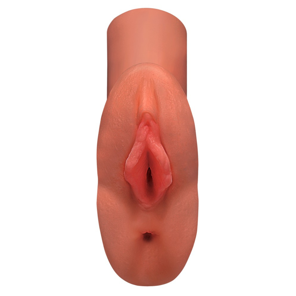 Nahaufnahme eines fleischfarbenen, anatomisch korrekten weiblichen Genitalmodells. Das Modell befindet sich vor weißem Hintergrund.