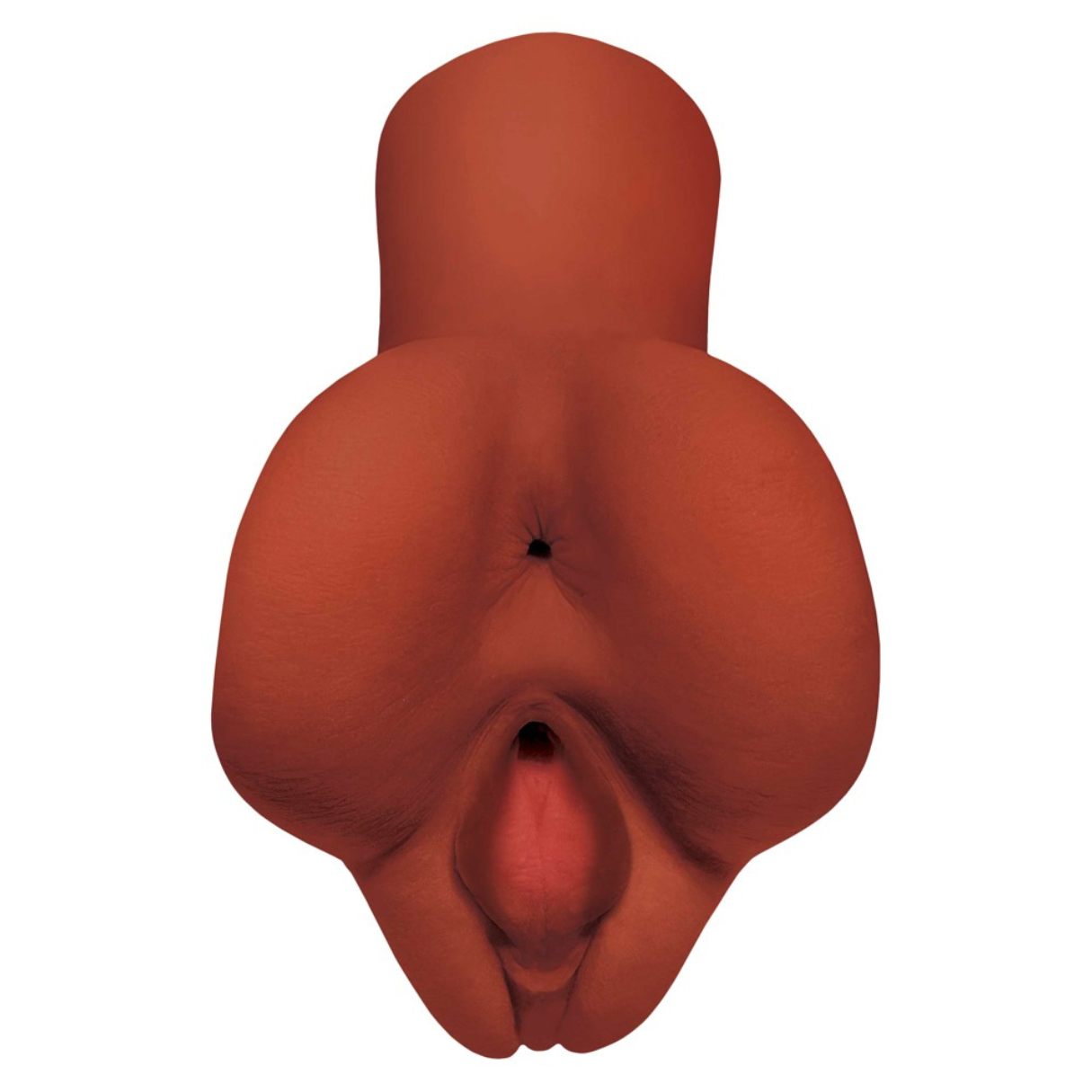 Vista de cerca de una parte del cuerpo humano, centrándose en el ano y la vulva. La piel es de color marrón rojizo sobre fondo blanco.