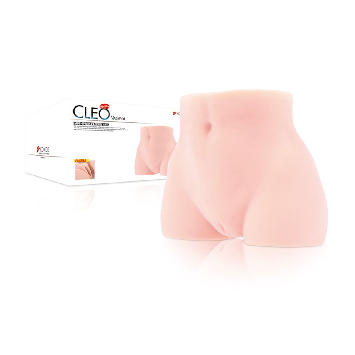 Ein rosa, fleischfarbenes, anatomisches Modell eines weiblichen Torsos. Eine Schachtel im Hintergrund zeigt ein kleineres Bild des Modells.