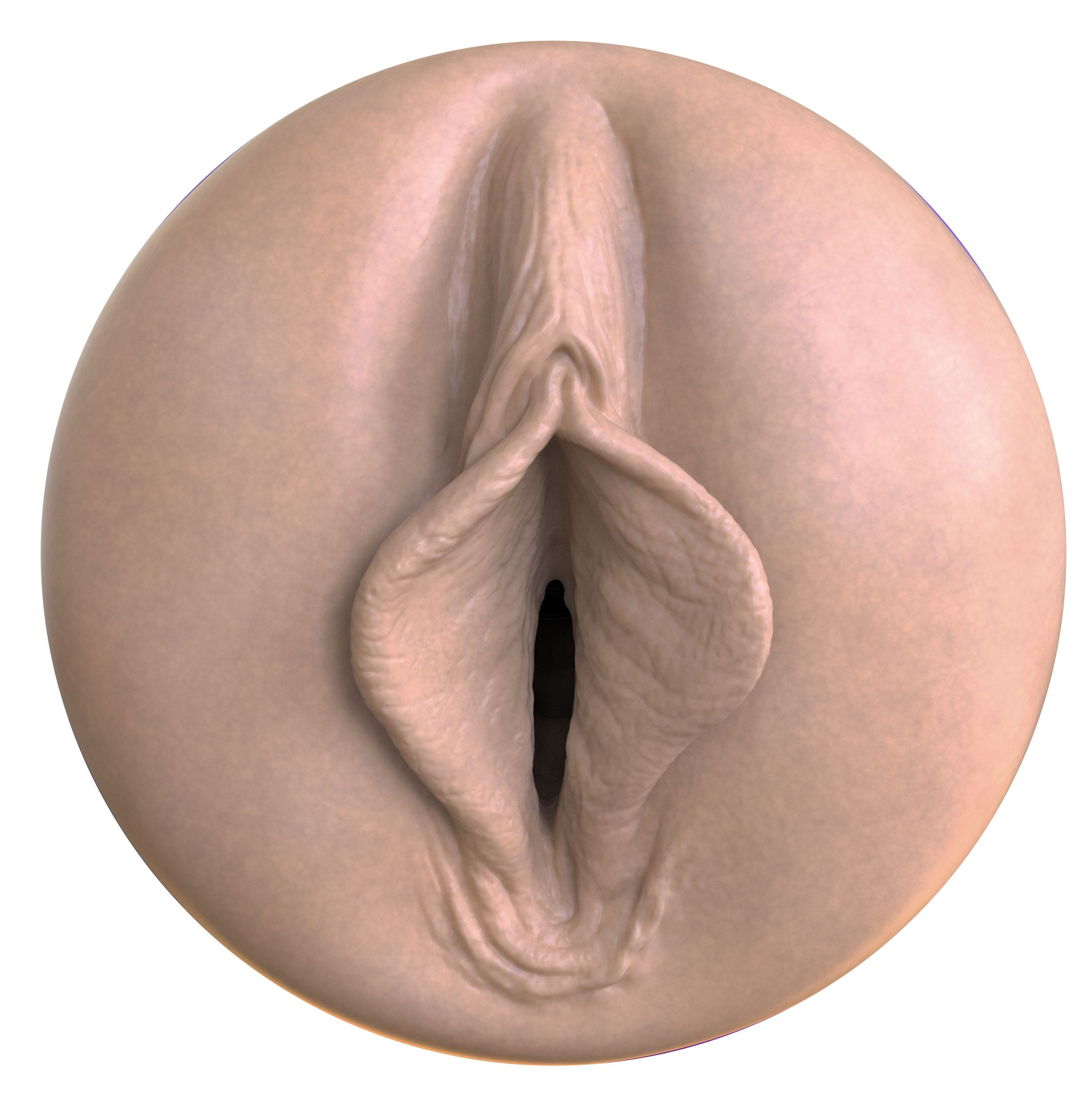 Anatomische Darstellung der weiblichen Genitalien, die Schamlippen und Scheideneingang in kreisförmiger Anordnung zeigt.