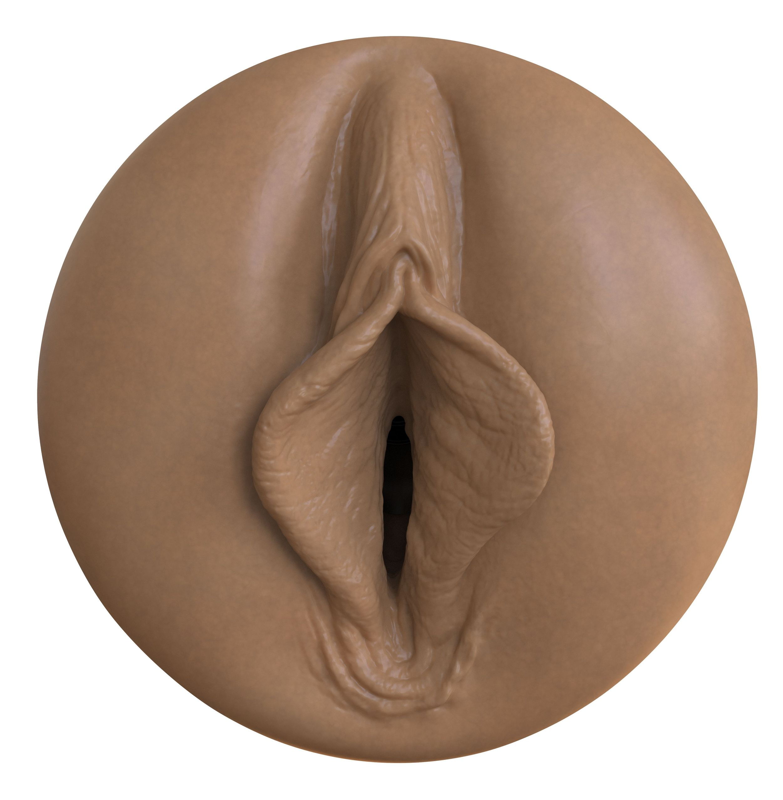Nahaufnahme einer Vulva mit Hauttönen. Die Schamlippen und die Klitoris sind sichtbar, mit einer zentralen Öffnung. Brauner Hintergrund.