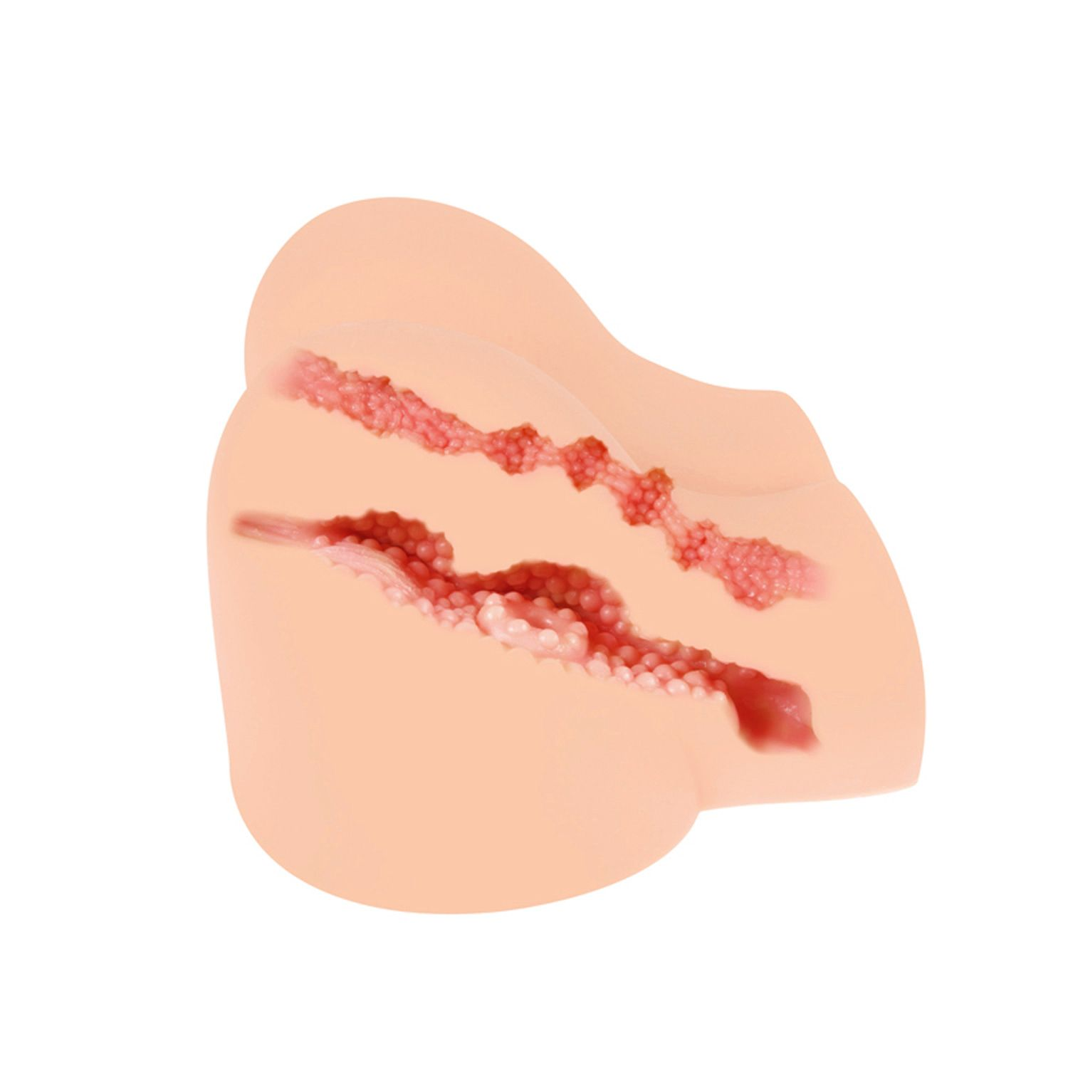Ein fleischfarbenes Objekt mit zwei strukturierten Innenkanälen. Die Kanäle haben ein rosa-rotes, unebenes Aussehen.