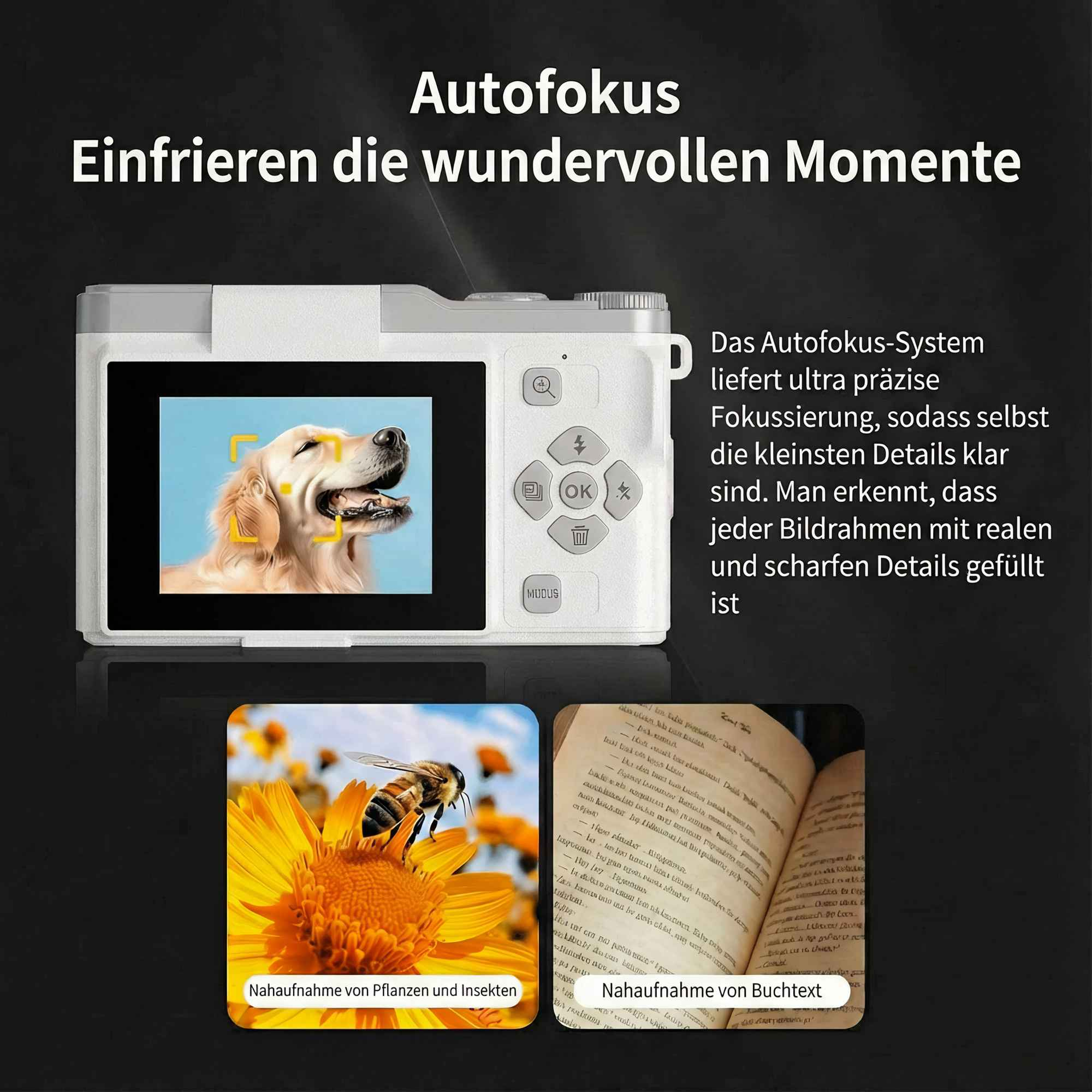 Eine weiße Kamera zeigt ein Hundebild. Darunter Nahaufnahmen einer Biene auf einer Blume und eines Buches.