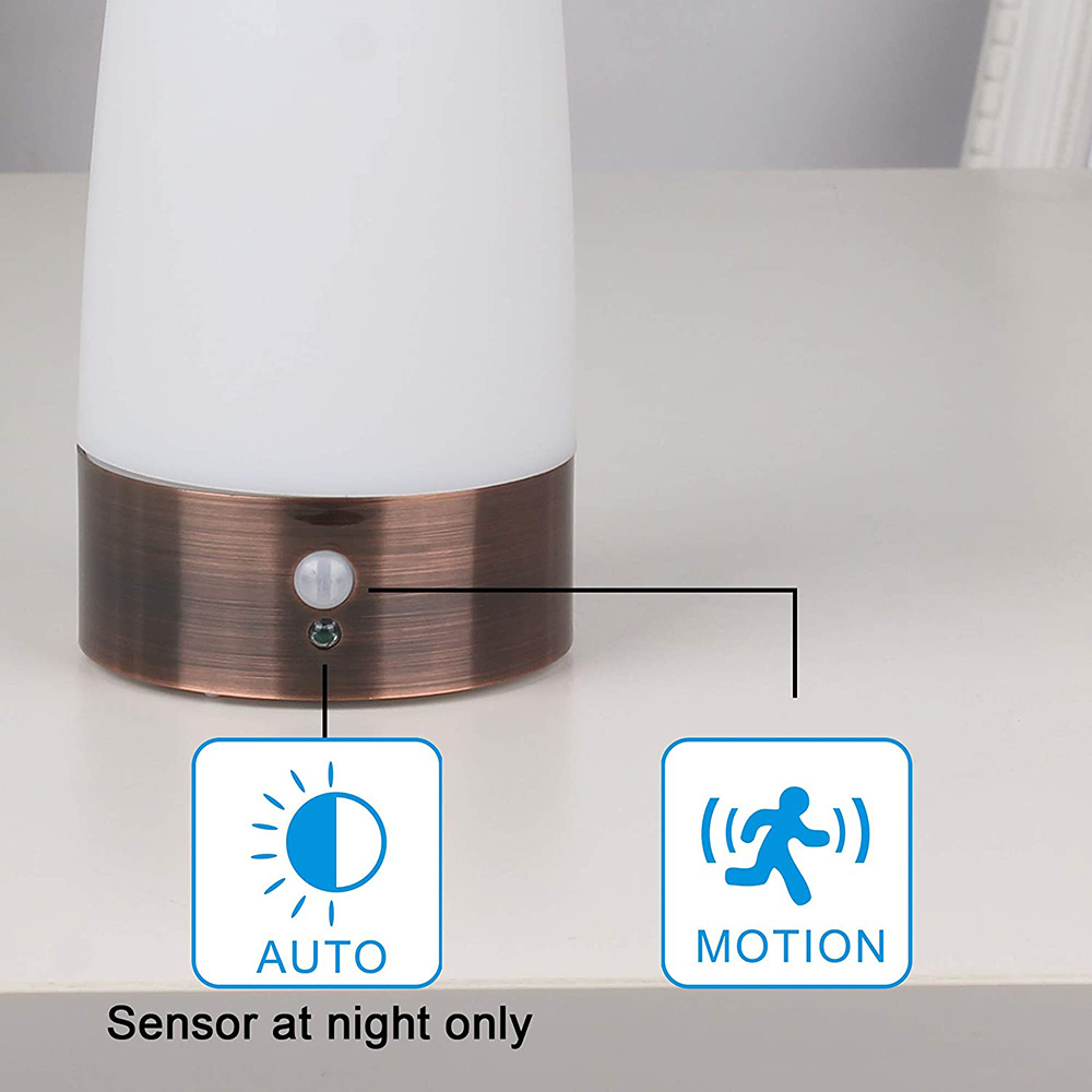 Eine weiße und bronzefarbene Lampe mit Bewegungssensor. Auto- und Bewegungssymbole daneben. Text: Nur Sensor bei Nacht.
