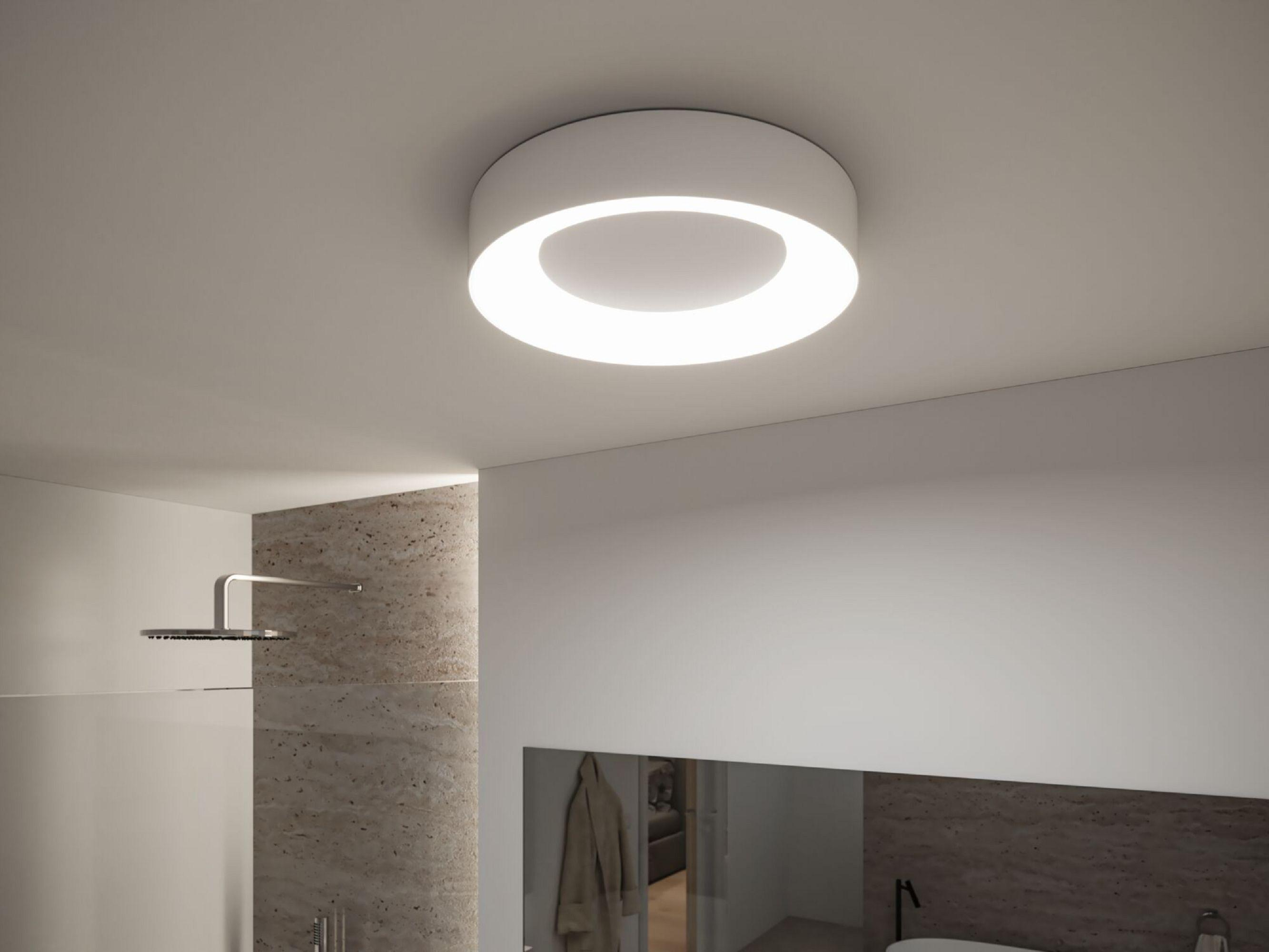 Une salle de bain moderne avec un plafonnier blanc. Une pomme de douche, un miroir et un manteau sont visibles.