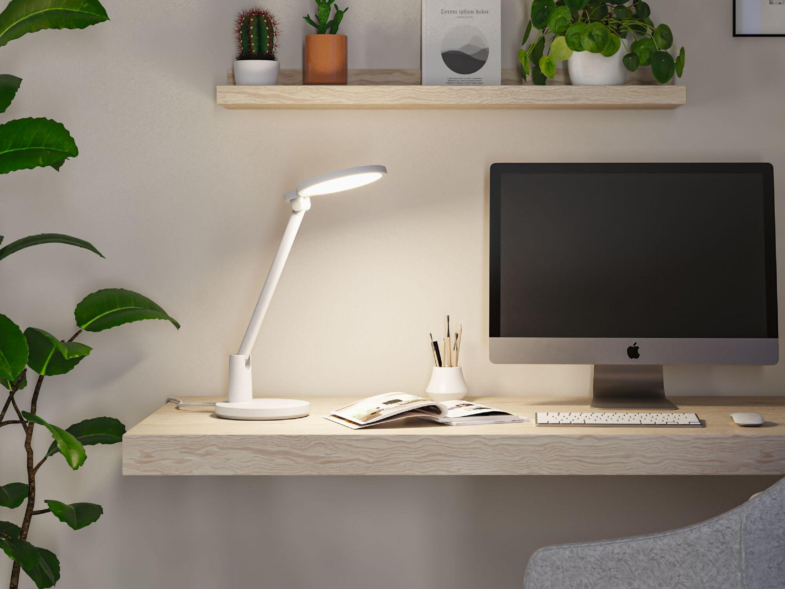 Biurko z komputerem, lampą i roślinami. Książka jest otwarta na biurku. Neutralne tło.