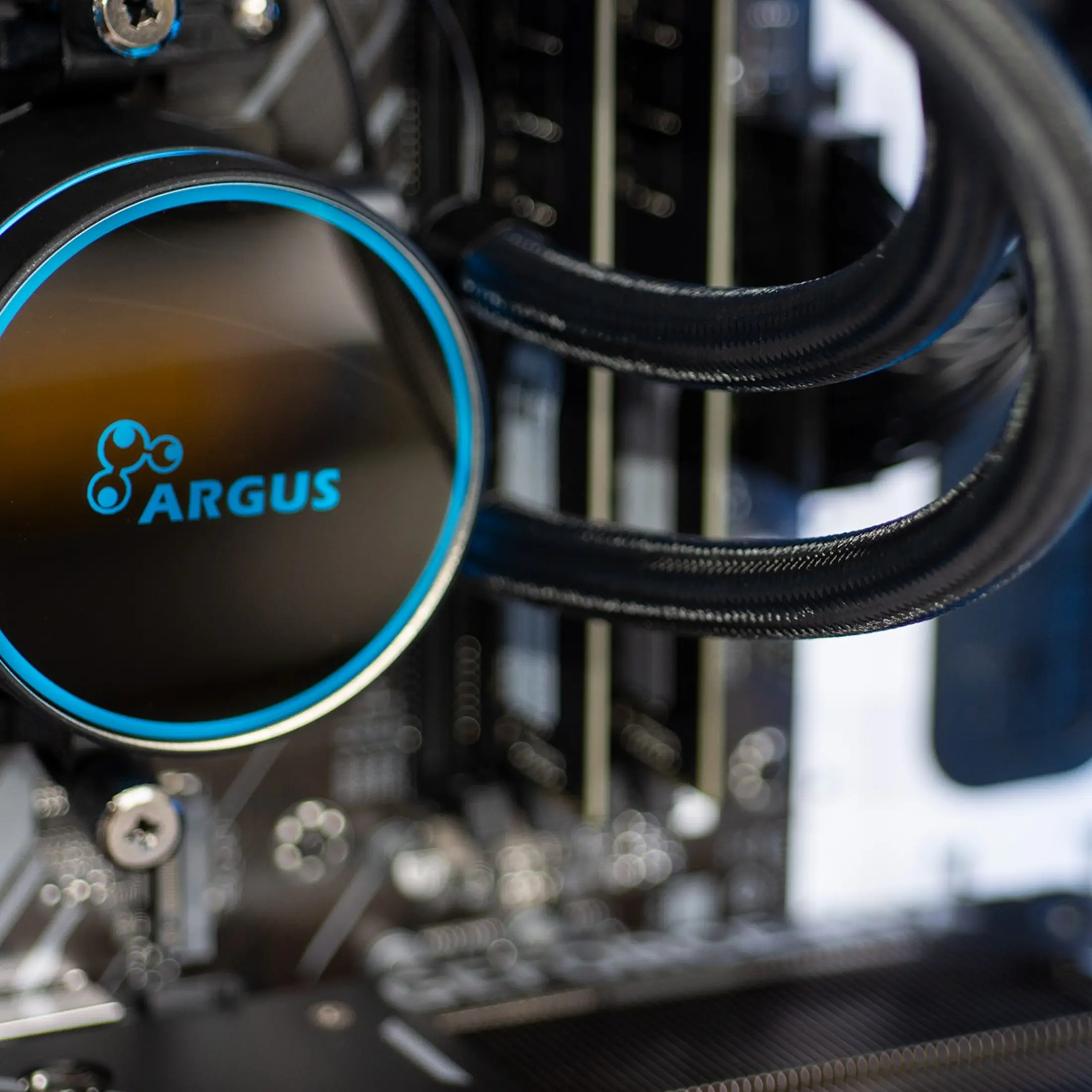 Een computercomponent met een zwarte en blauwe Argus-koeler en zwarte buizen, met een vage achtergrond.