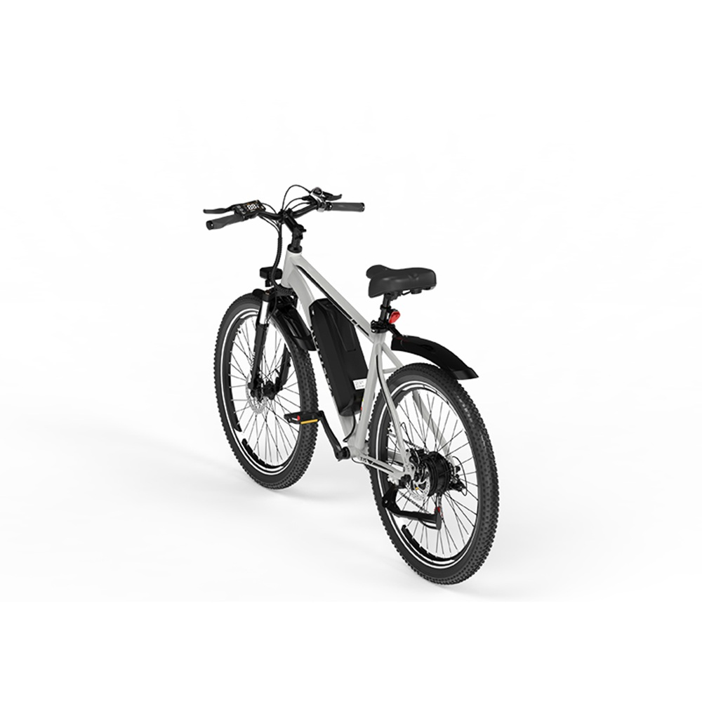 Ein Elektrofahrrad vor weißem Hintergrund. Es hat schwarze Reifen, einen silbernen Rahmen, einen schwarzen Sitz und einen Akku.