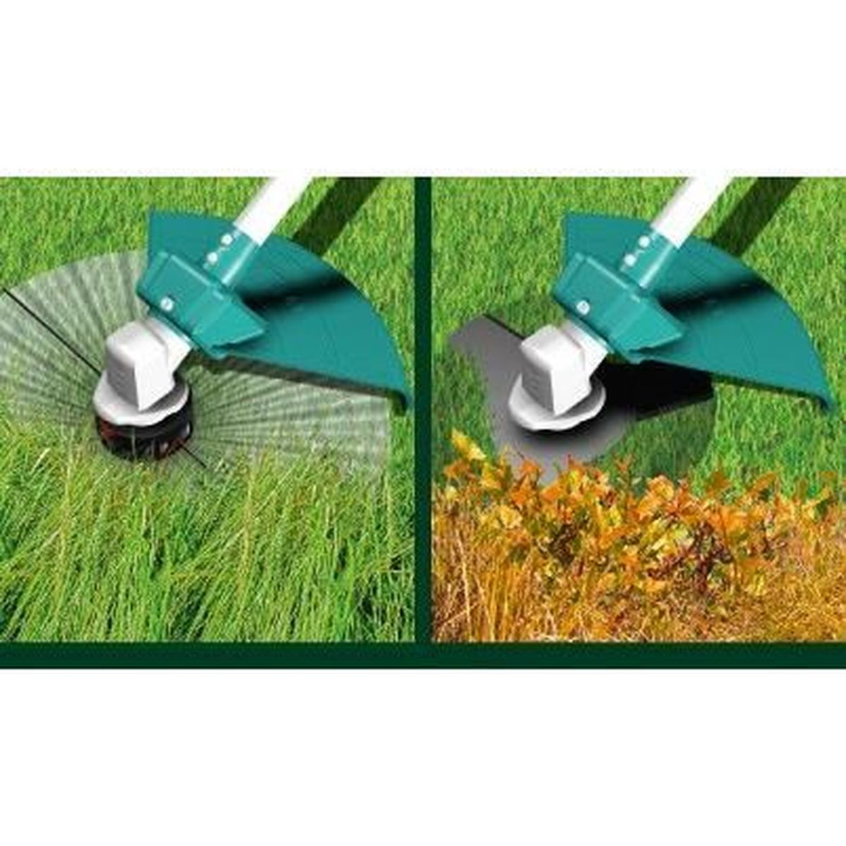 Ein Rasentrimmer schneidet Gras. Klingen werden durch einen grünen Schutz geschützt. Das Gras ist grün. Das Unkraut ist braun und orange.