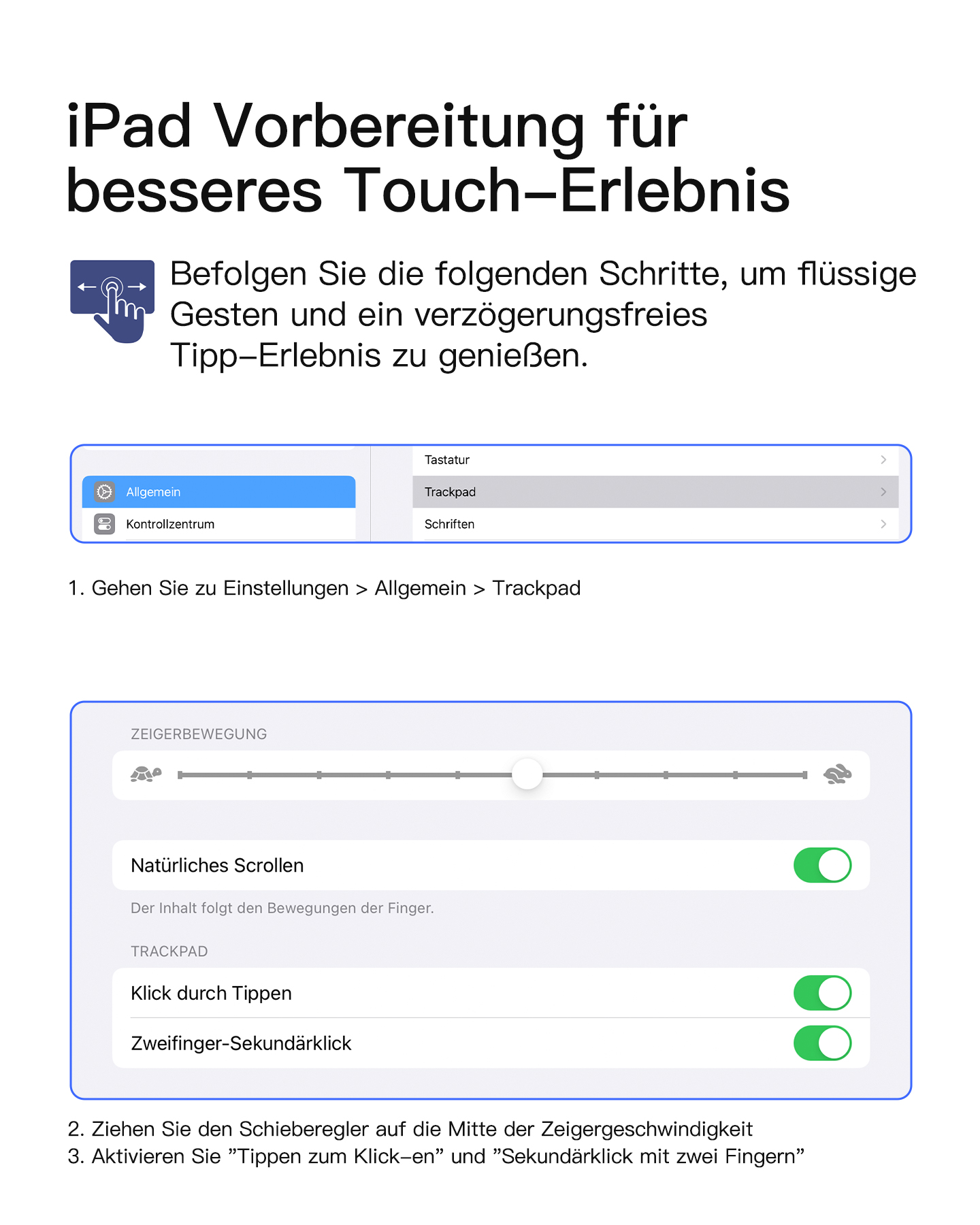 iPad-Einstellungen mit Trackpad-Optionen. Enthält Umschalter für natürliches Scrollen, Tippen zum Klicken und Sekundärklick.