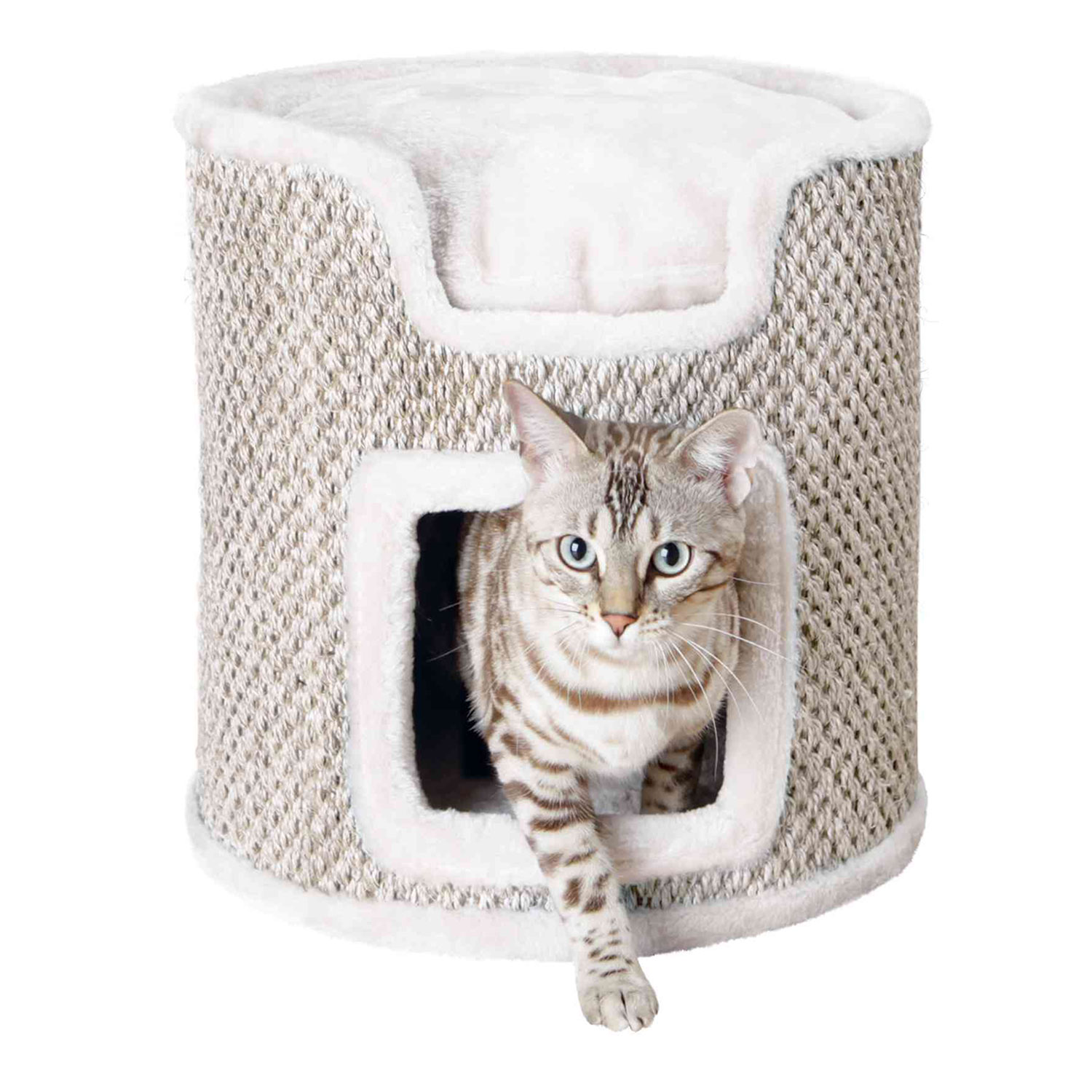 Un gatto esce da una cuccia beige. Il gatto è grigio e bianco con strisce. La casa ha un interno bianco e soffice.