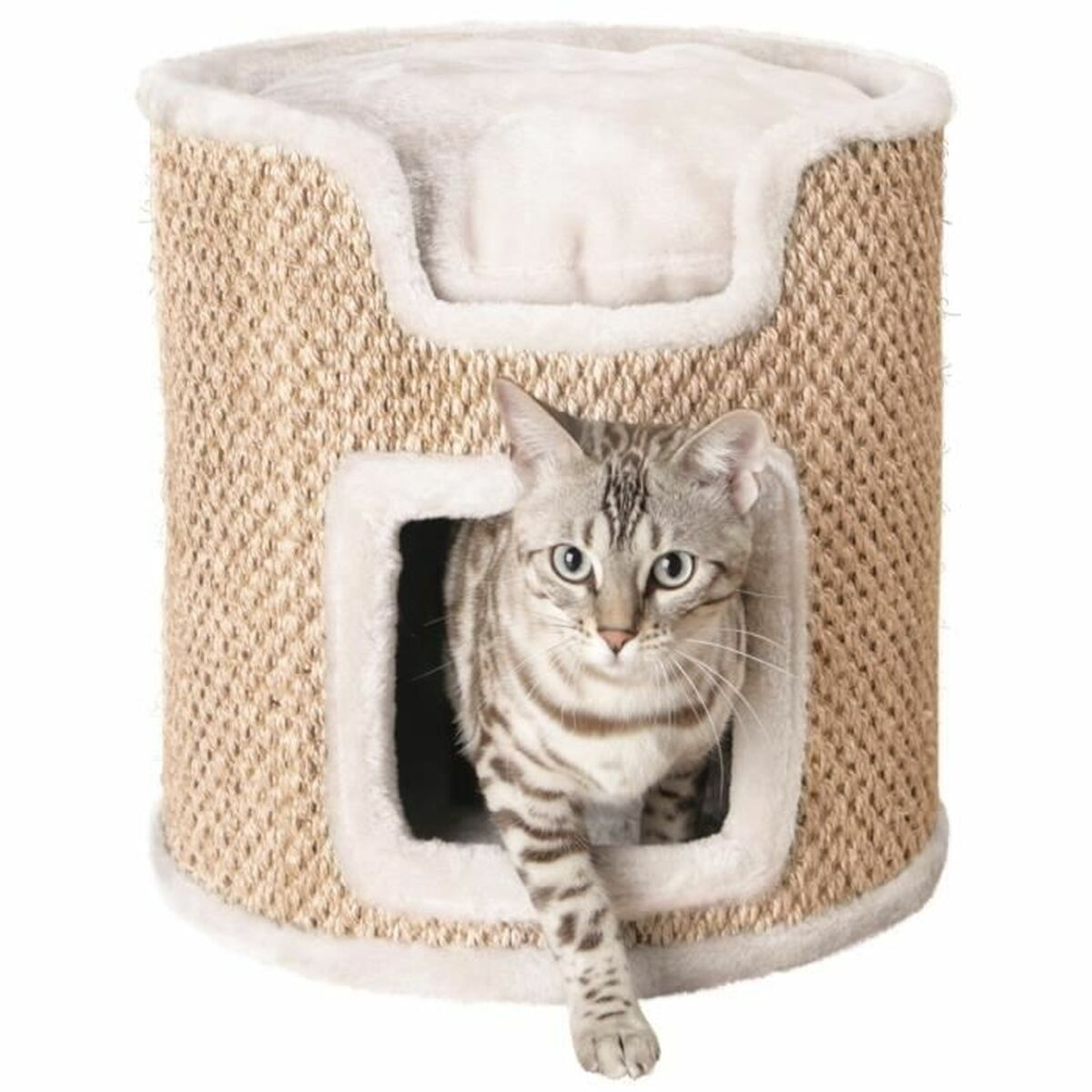 Un gatto tigrato grigio esce da una casa per gatti intrecciata. La casa ha una parte superiore e un ingresso imbottiti bianchi. Il gatto sta uscendo.