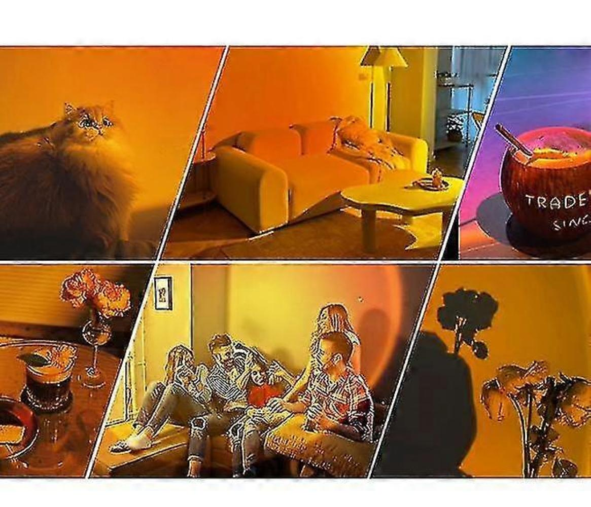 Collage mit Szenen: Katze, Wohnzimmer, Getränk, Blumen, Menschen und Schatten. Warme Beleuchtung schafft eine gemütliche Atmosphäre.