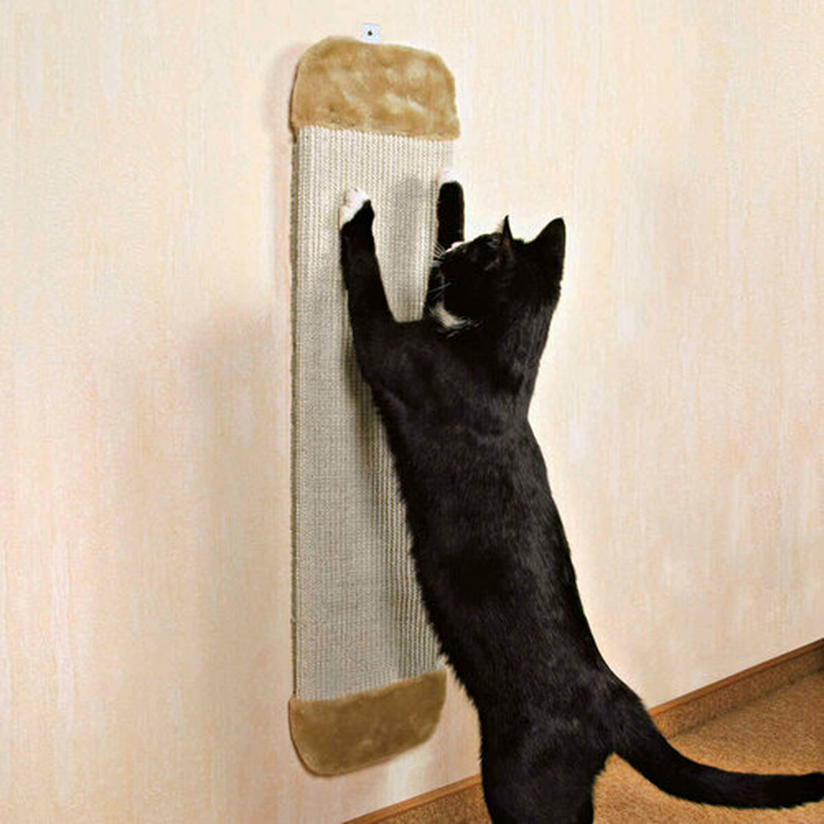 Eine schwarze Katze kratzt an einem Wand-Kratzbaum. Der Kratzbaum ist beige. Die Wand ist ebenfalls beige.