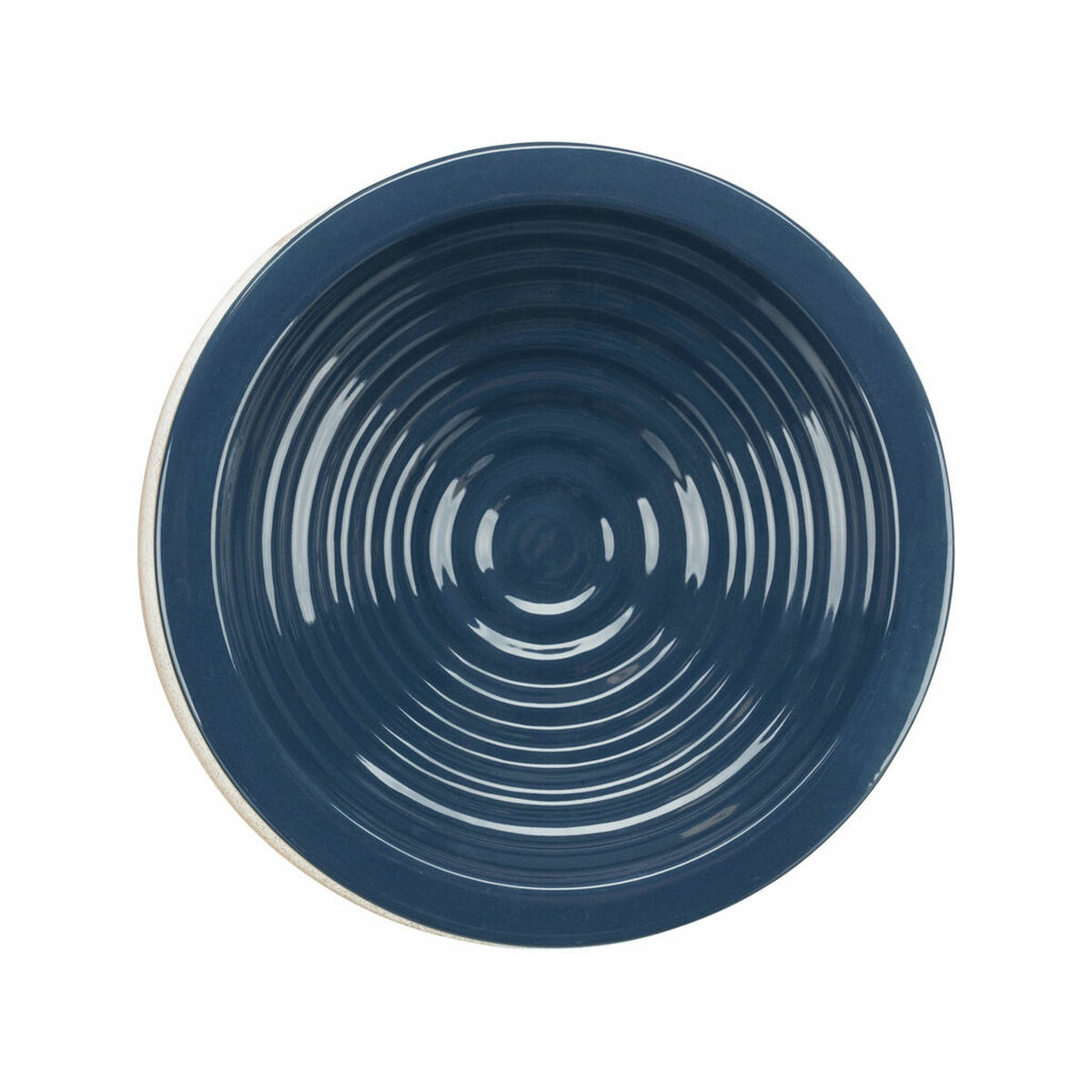 Un cuenco redondo y azul con círculos concéntricos en el interior. El borde es blanco. El fondo es blanco.