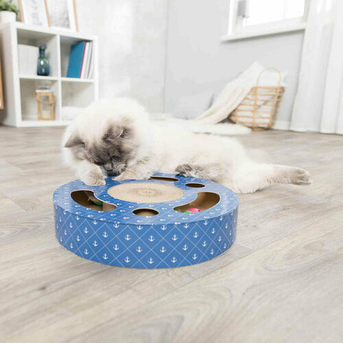 Un soffice gatto bianco gioca con un graffiatoio blu. Il graffiatoio è su un pavimento in legno. Una libreria è sullo sfondo.