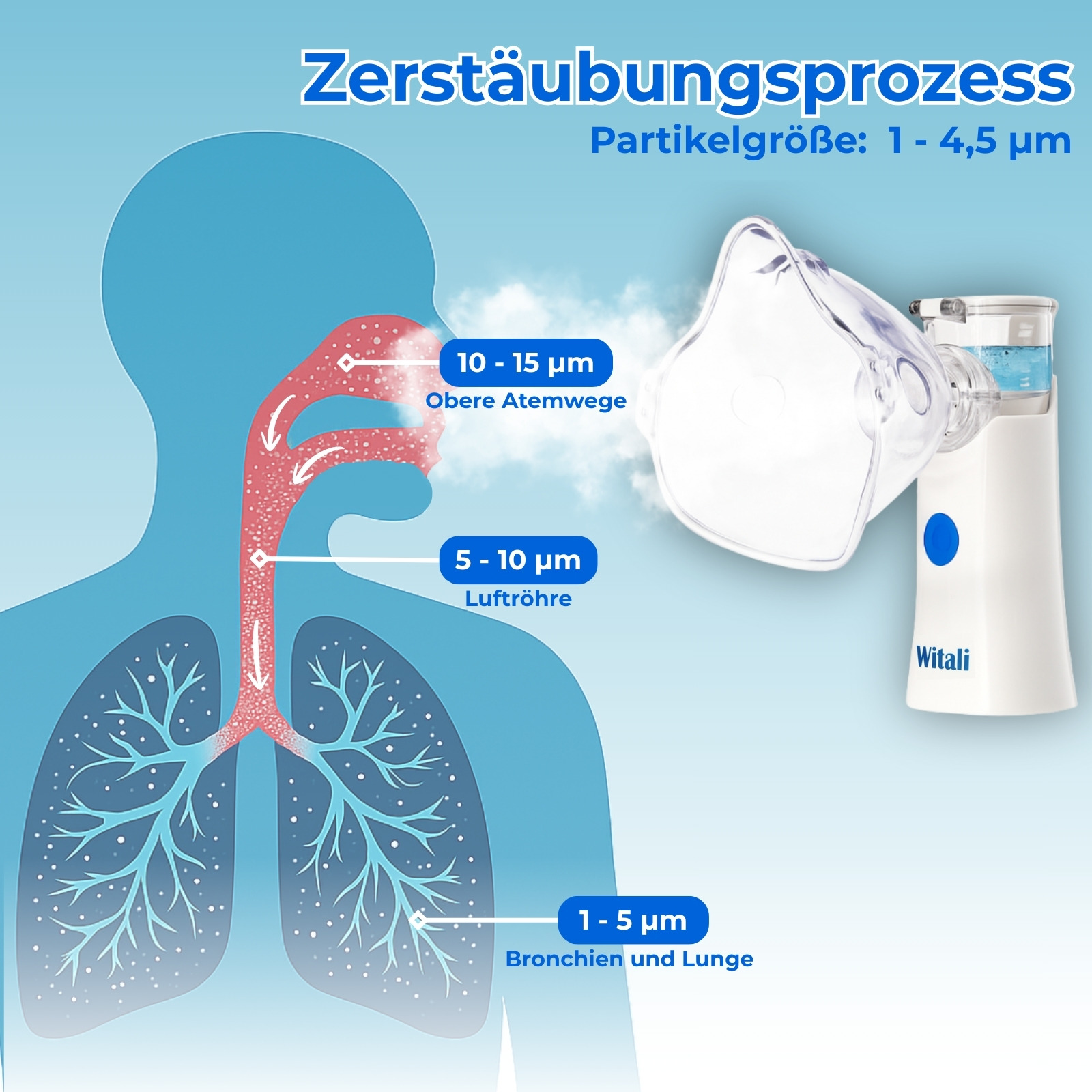 Diagramm zeigt den Zerstäubungsprozess. Ein Vernebler ist mit einem Diagramm des menschlichen Atmungssystems verbunden. Partikelgrößen sind angegeben.