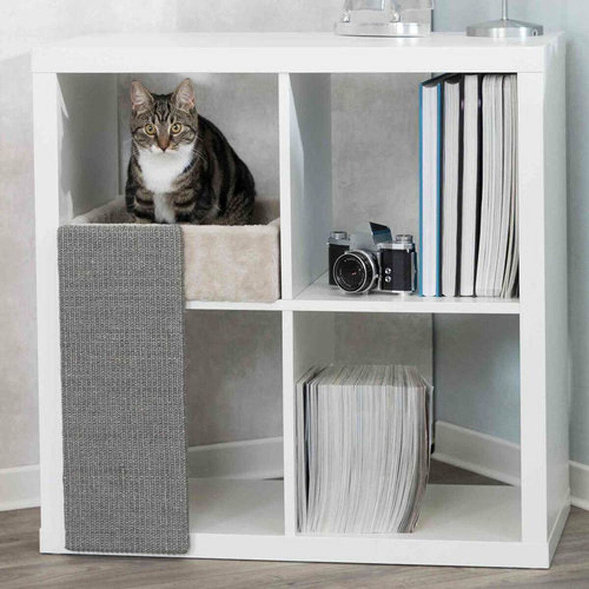 Eine Katze sitzt in einem Regal. Das Regal enthält Bücher, eine Kamera und Zeitschriften. Eine graue Kratzmatte ist an der Seite.
