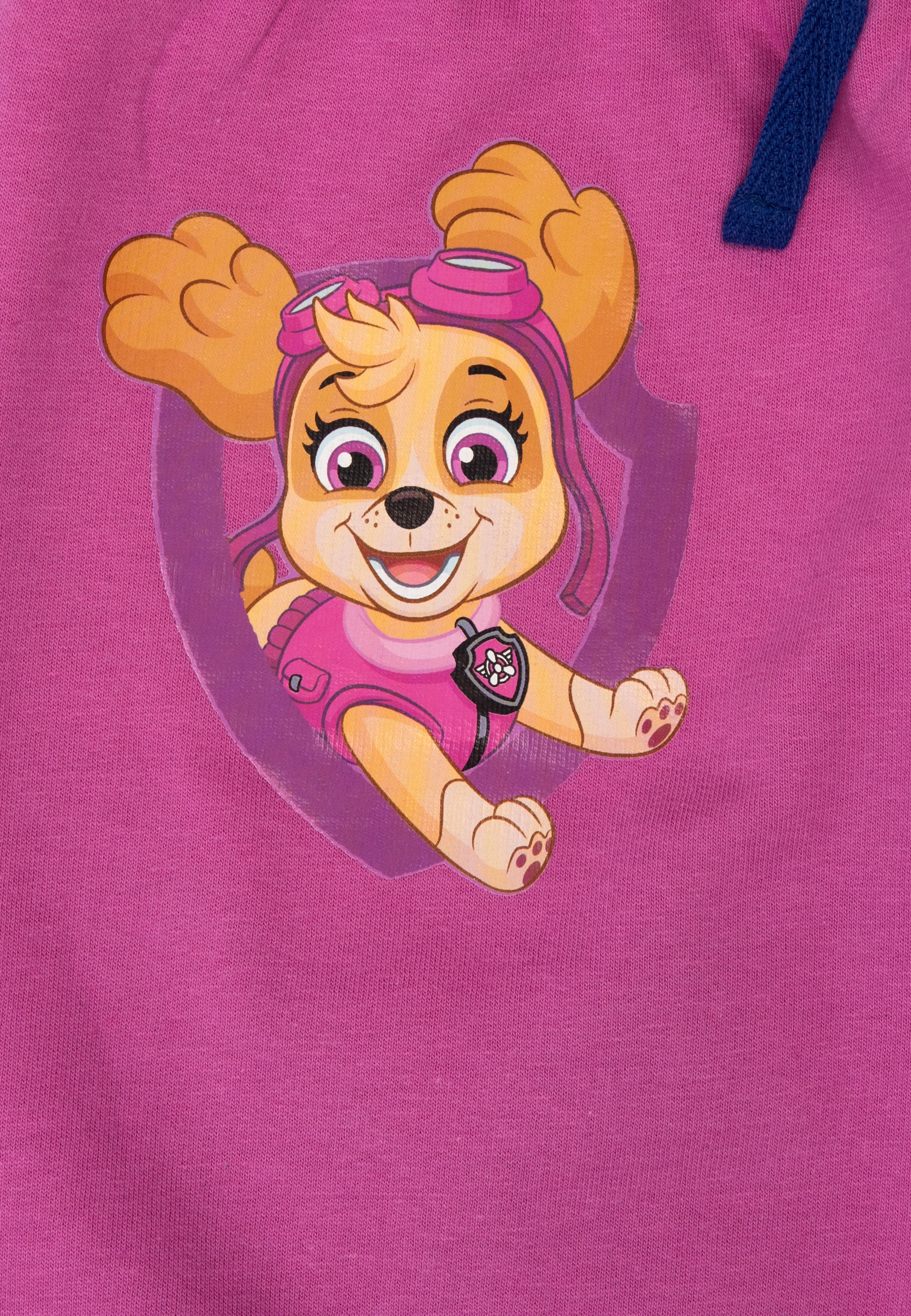 Ein rosa Kapuzenpullover mit Skye von Paw Patrol. Skye lächelt, trägt eine Brille und ein rosa Outfit auf einem lila Emblem.
