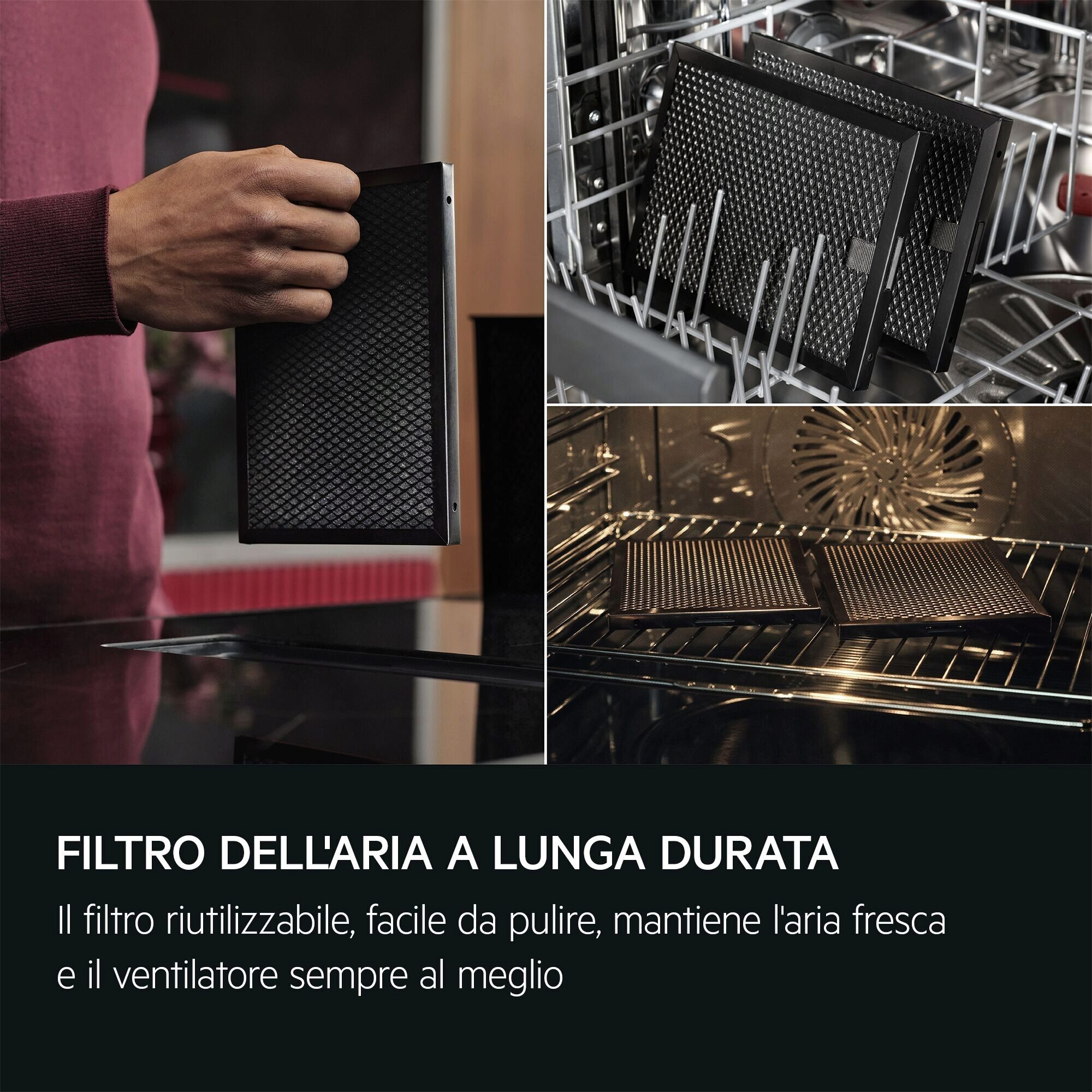 L'immagine mostra una mano che tiene un filtro nero. Altri filtri sono in una lavastoviglie e in un forno.