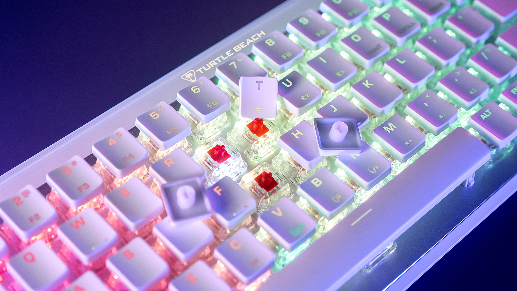 Nahaufnahme einer weißen mechanischen Tastatur mit entfernten Tastenkappen, die rote Schalter freigeben. Die 'T'-Taste ist hervorgehoben.