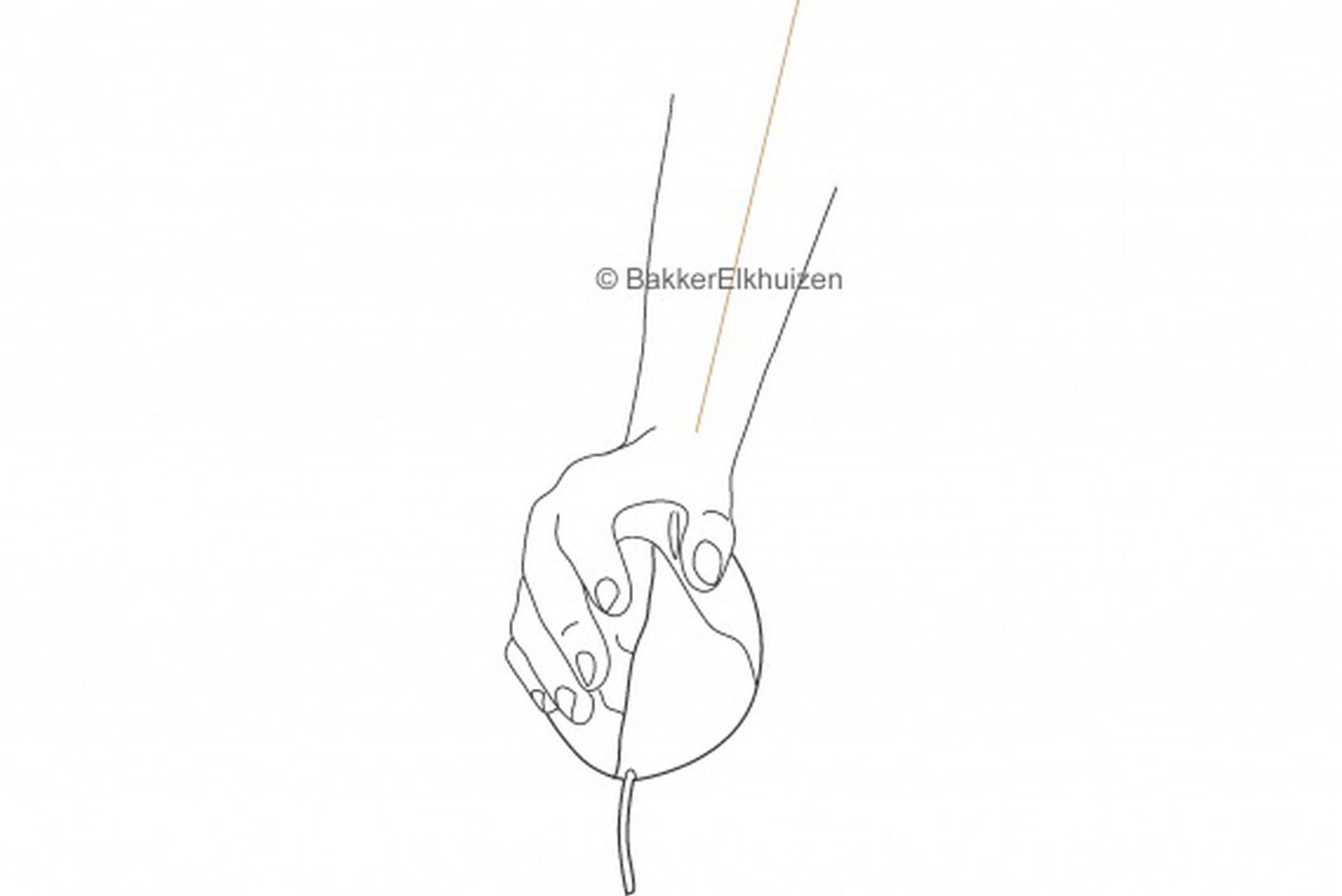 Lijntekening van een hand die een muis vasthoudt. De muis heeft een lange staart. De hand houdt de muis vast.