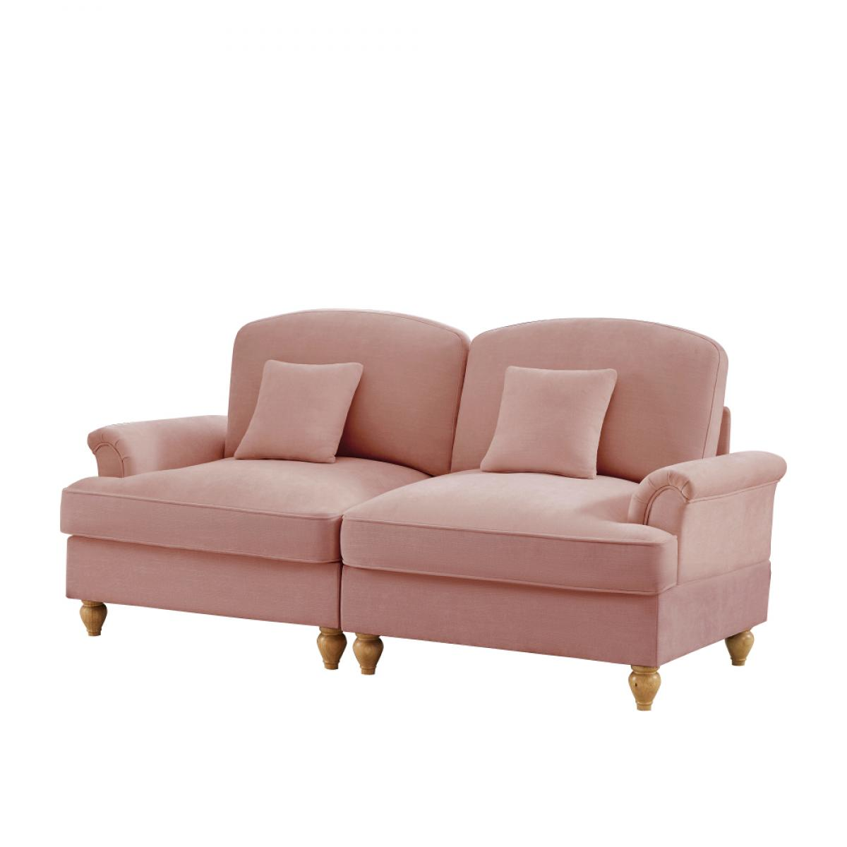 Ein zweisitziges, rosa Sofa mit zwei Kissen. Es hat Holzbeine und steht vor weißem Hintergrund.