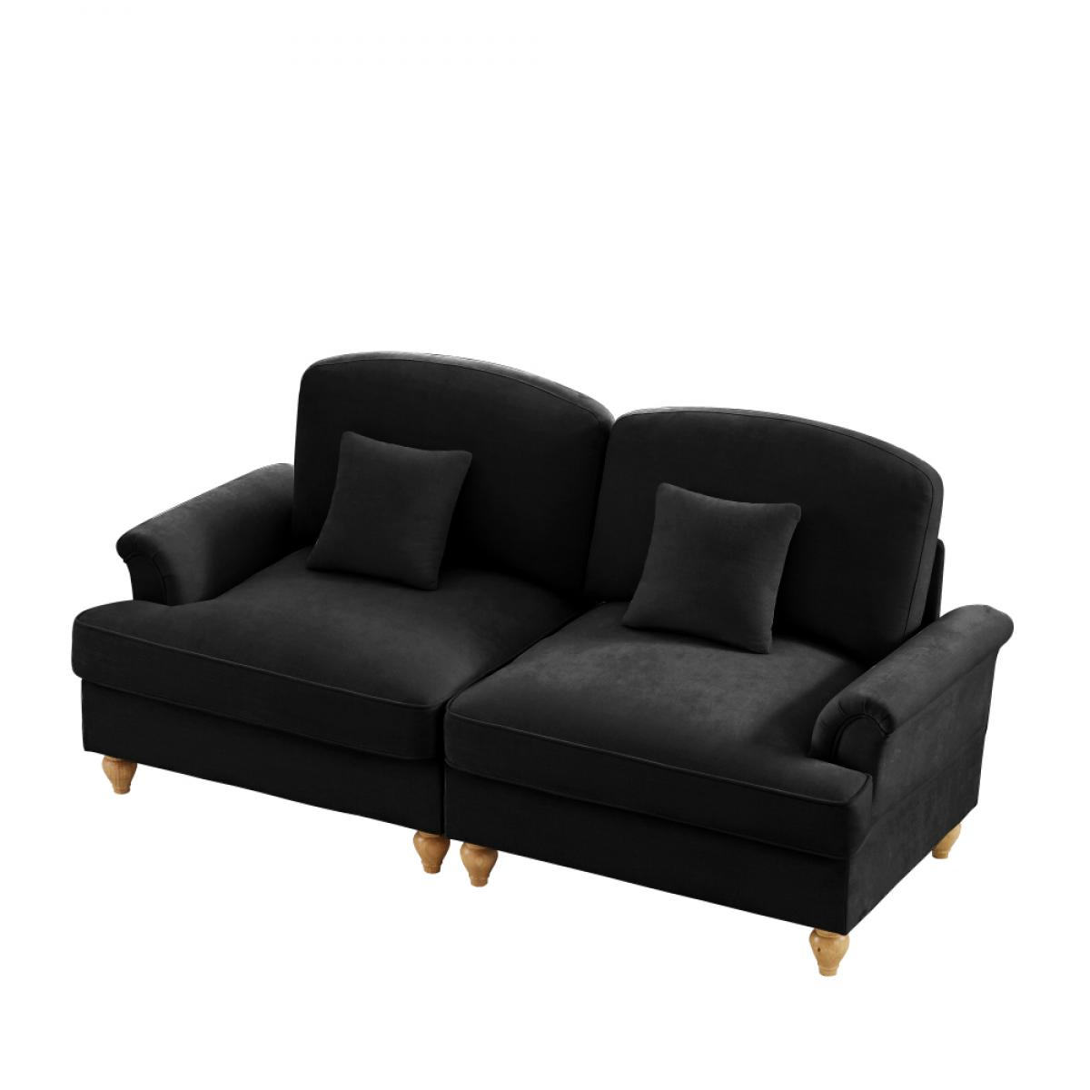 Ein schwarzes Zweisitzer-Sofa mit zwei Kissen. Es hat Holzbeine und eine geschwungene Rückenlehne. Der Hintergrund ist weiß.