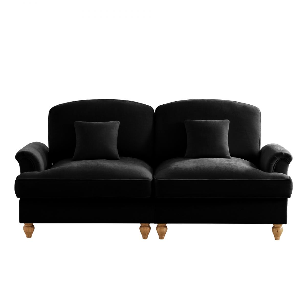 Ein schwarzes Samtsofa mit zwei Kissen. Es hat Holzbeine und eine geschwungene Rückenlehne. Der Hintergrund ist weiß.