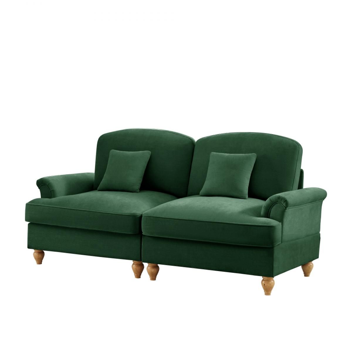 Ein grünes Samtsofa mit zwei Abschnitten, jeweils mit einem Kissen. Es hat Holzbeine und steht vor einem weißen Hintergrund.