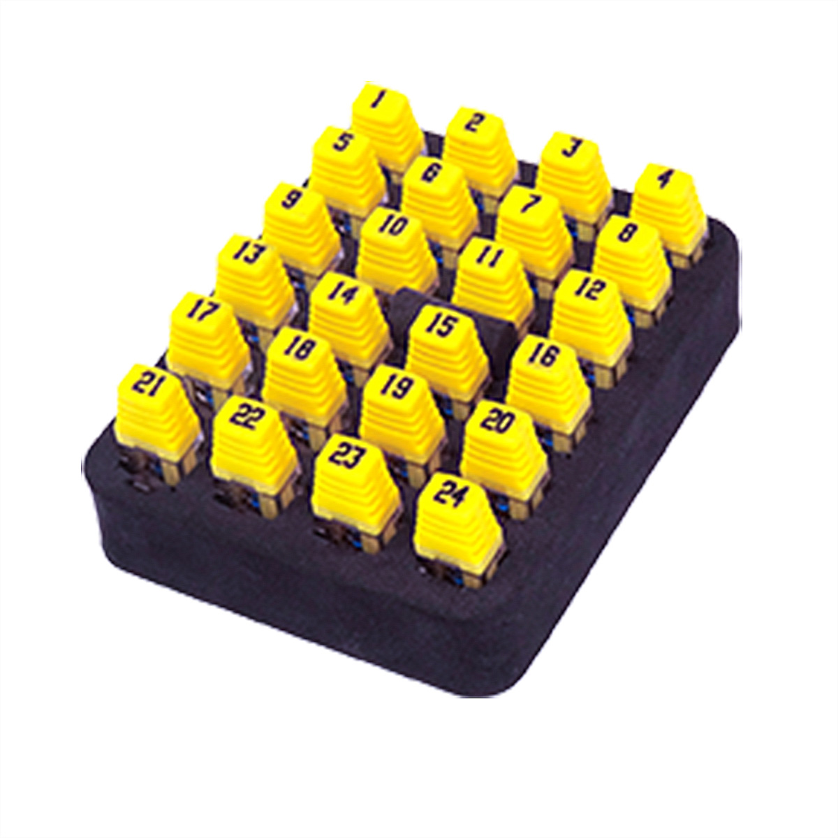 Ein schwarzes Schaumstofftablett enthält 24 gelbe nummerierte Stecker. Jeder Stecker hat eine Nummer von 1 bis 24. Die Zahlen sind schwarz.