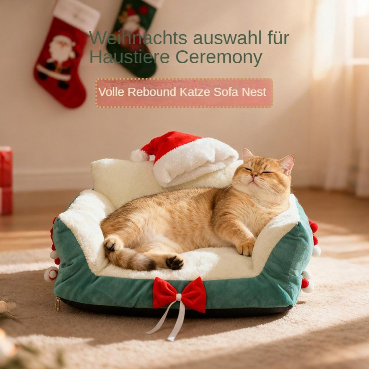 Eine goldene Katze liegt auf einem Sofabett mit Weihnachtsmütze. Rote Schleife vorne am Bett. Weihnachtsstrümpfe hängen im Hintergrund.