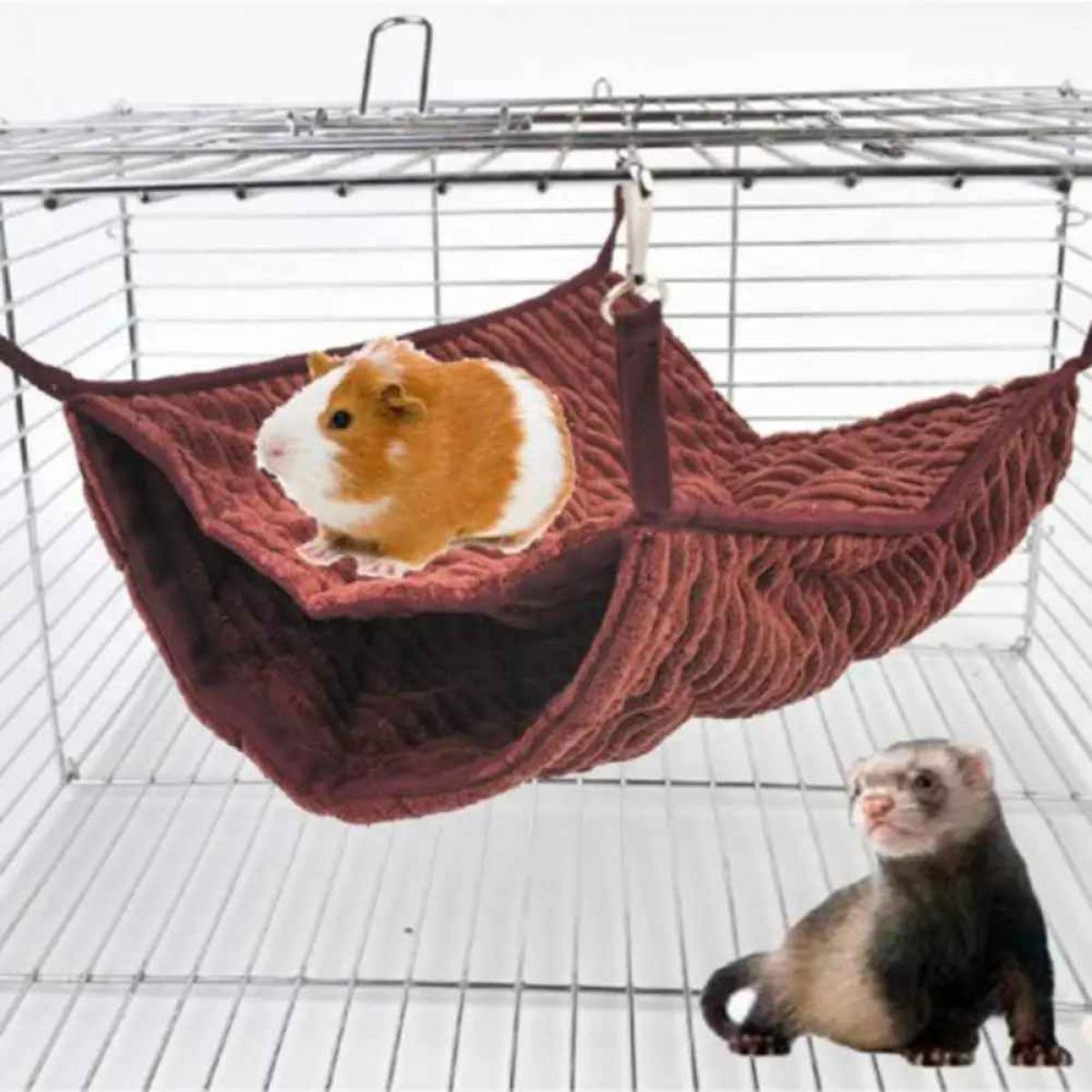 Ein Meerschweinchen in einer Hängematte in einem Käfig. Ein Frettchen sitzt darunter. Die Hängematte ist weinrot. Der Käfig ist aus Metall.