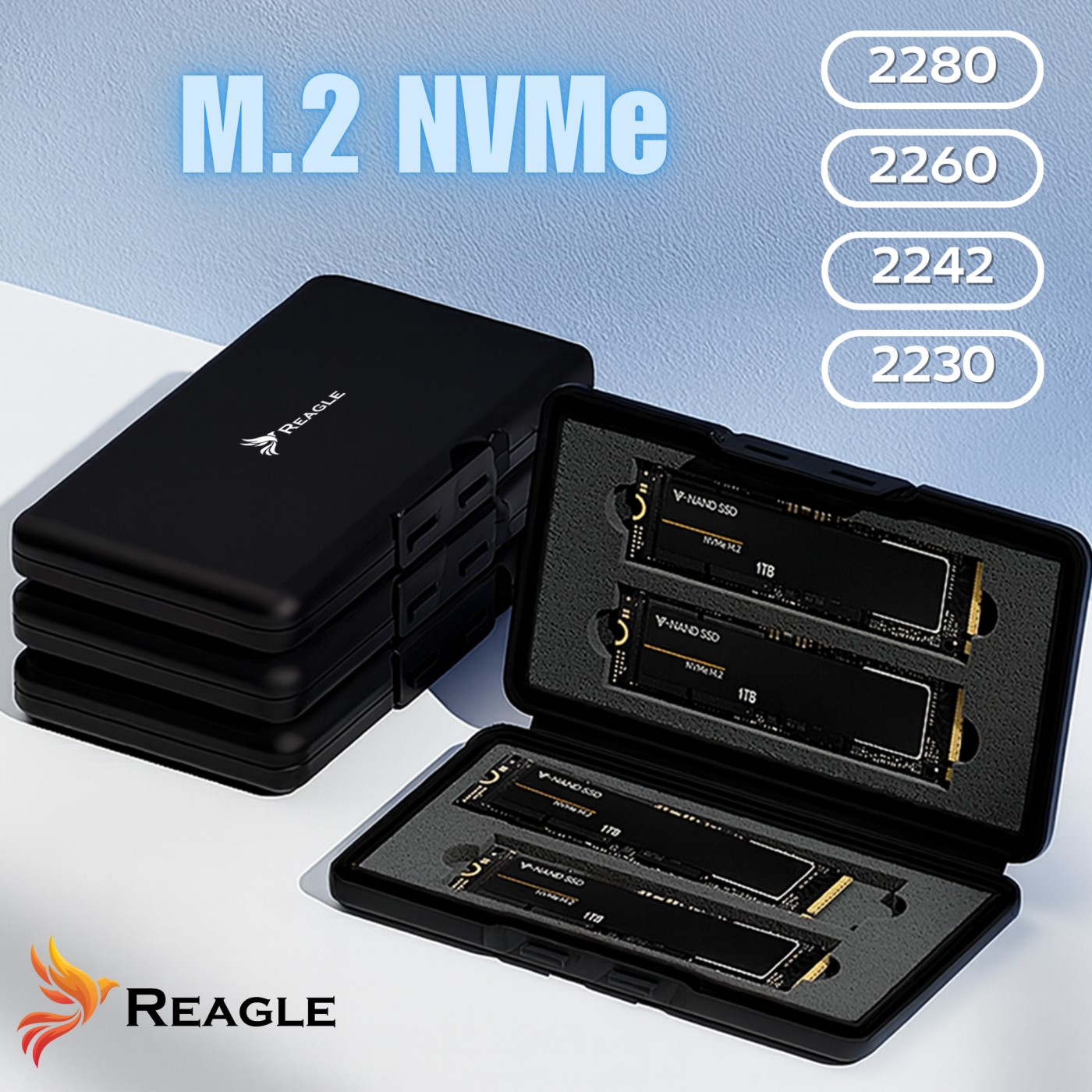 SSD M.2 NVMe neri in custodia, con opzioni di dimensioni 2280, 2260, 2242, 2230. Logo Reagle visibile.