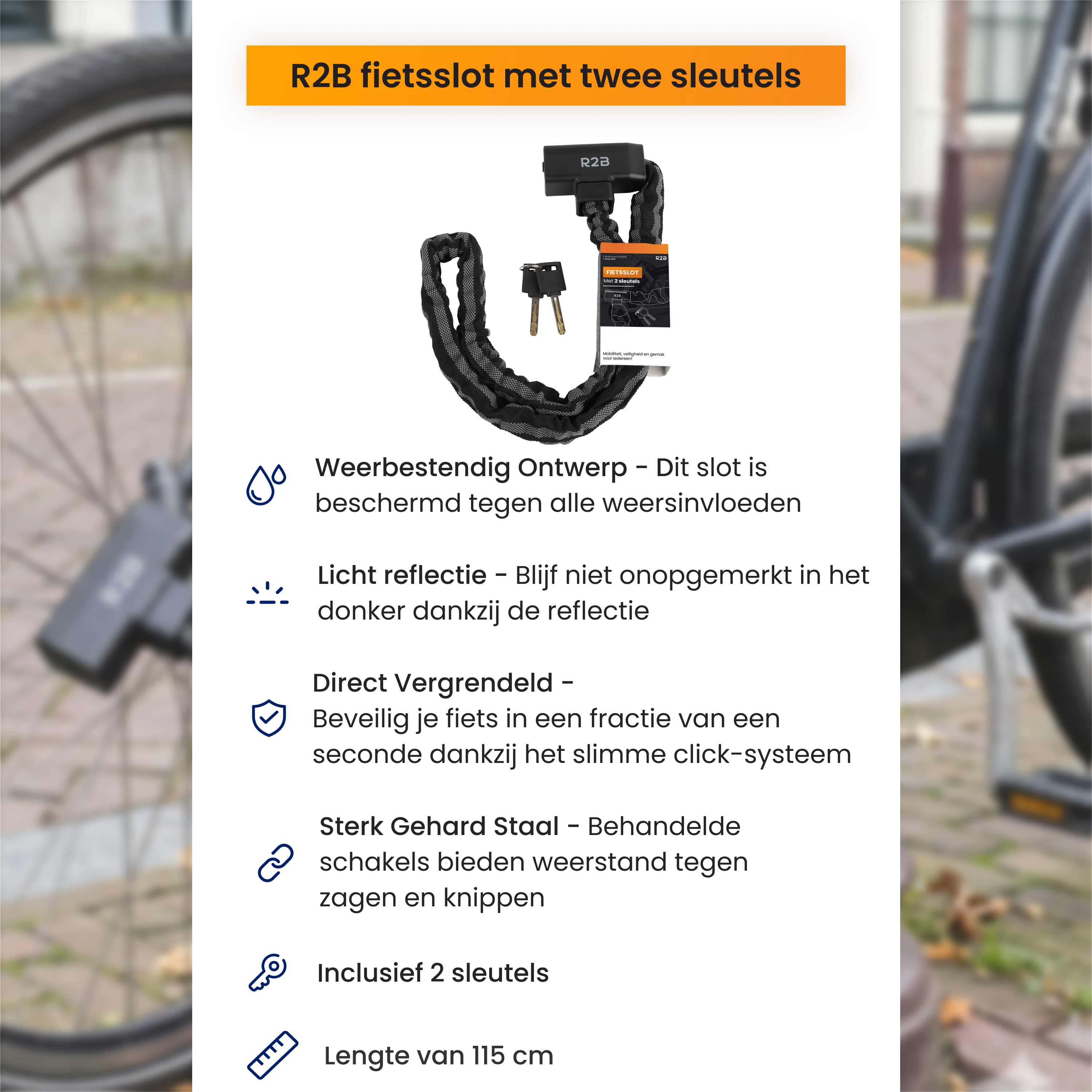A bike lock with two keys, product info, and features shown on a product display.