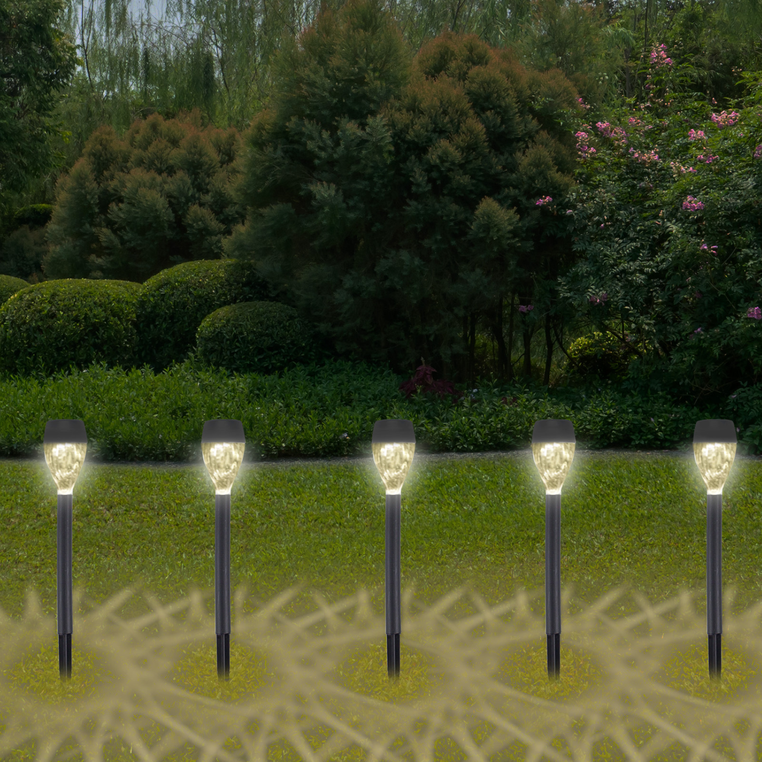 Scena di giardino con luci solari in fila. Erba verde, cespugli e alberi sullo sfondo.