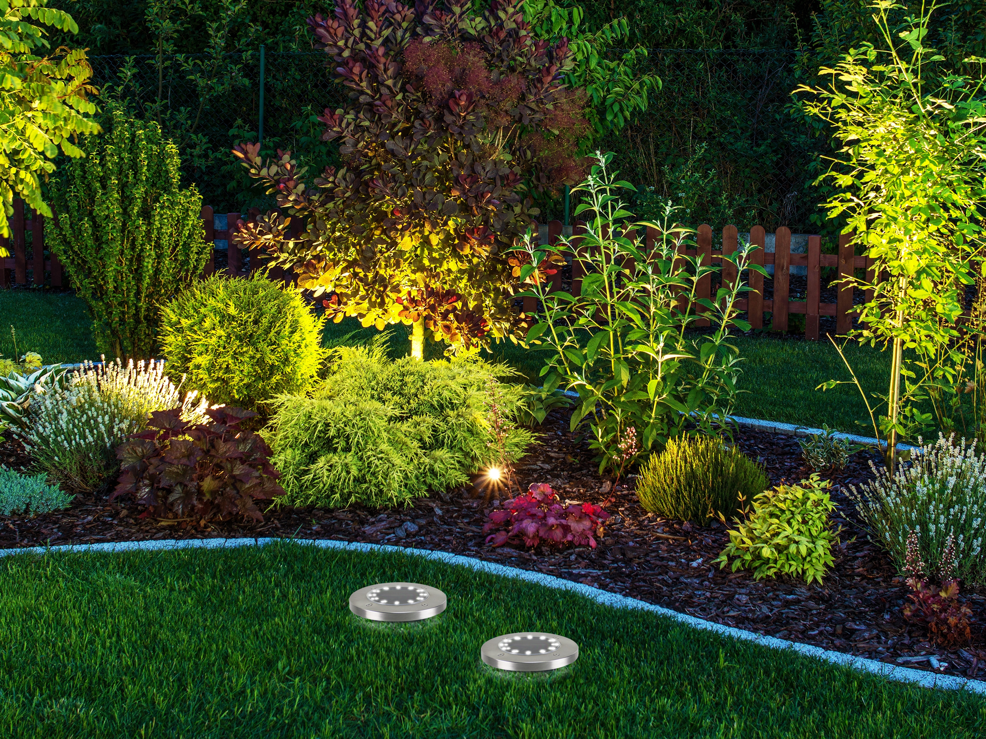 Una scena di giardino con piante illuminate, una staccionata in legno e due luci a terra su un prato verde.