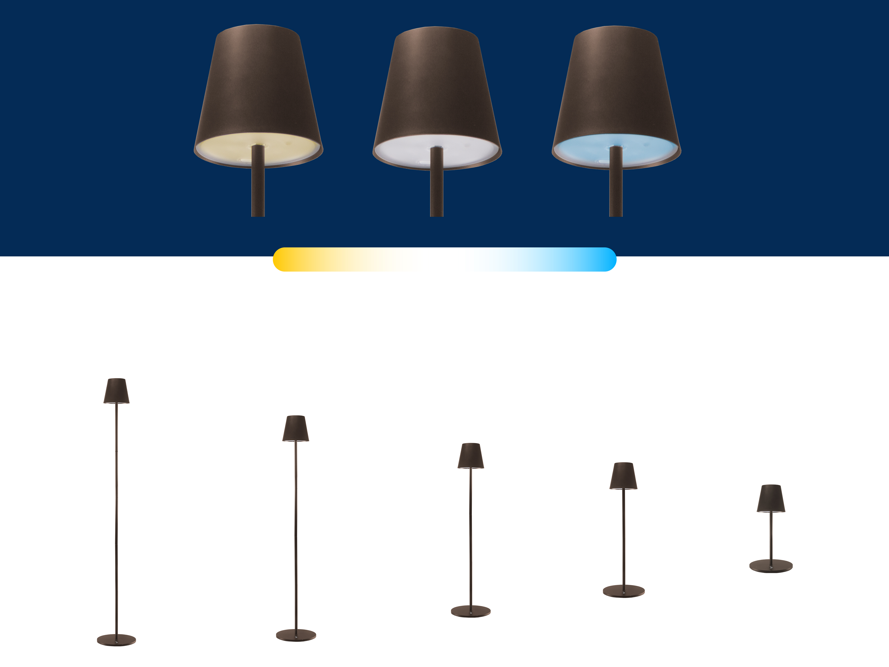 L'immagine mostra lampade con diversi colori e dimensioni della luce. Paralumi marroni scuri, basi nere su sfondo bianco.