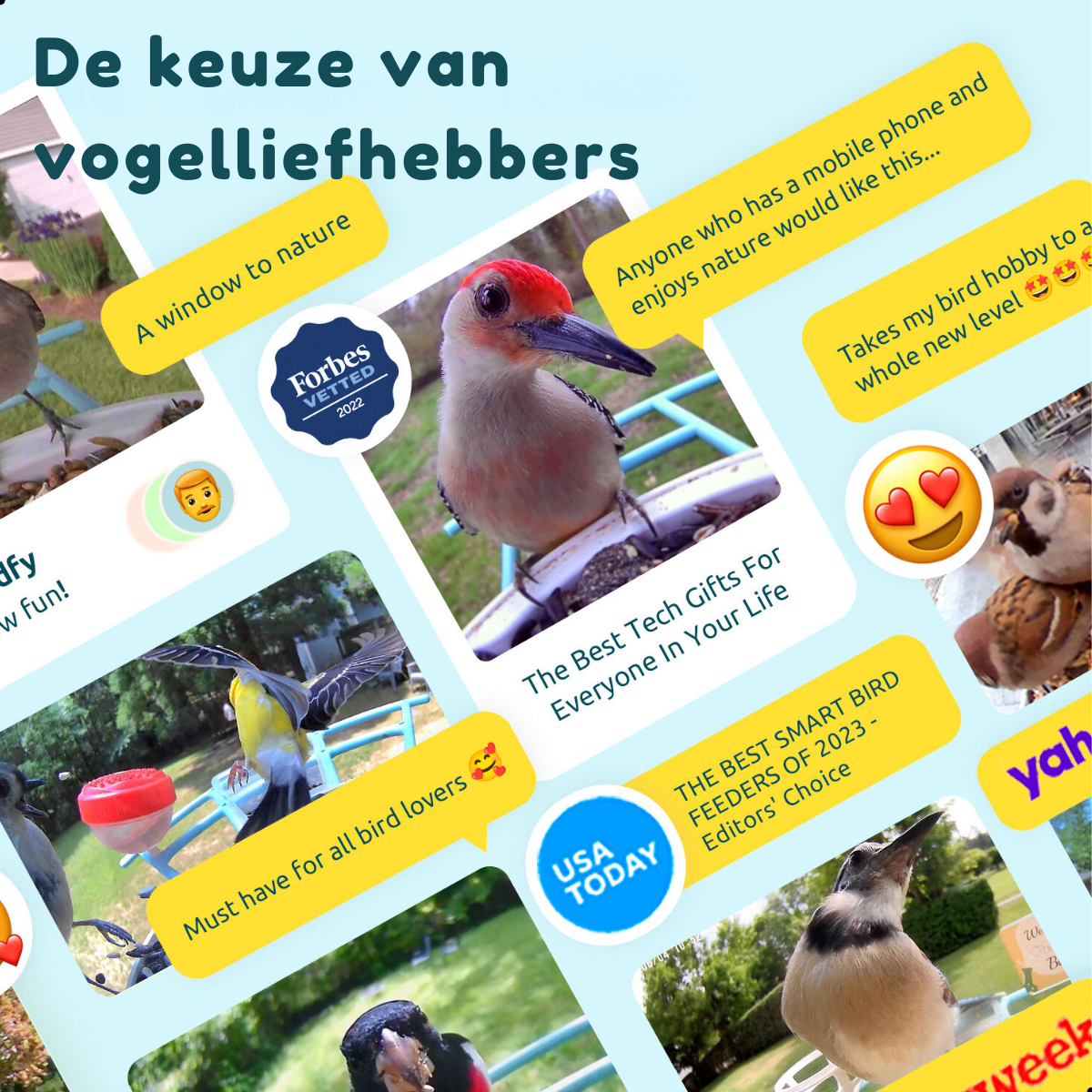 Collage di immagini di uccelli, con fumetti sul birdwatching. Loghi di Forbes e USA Today visibili.