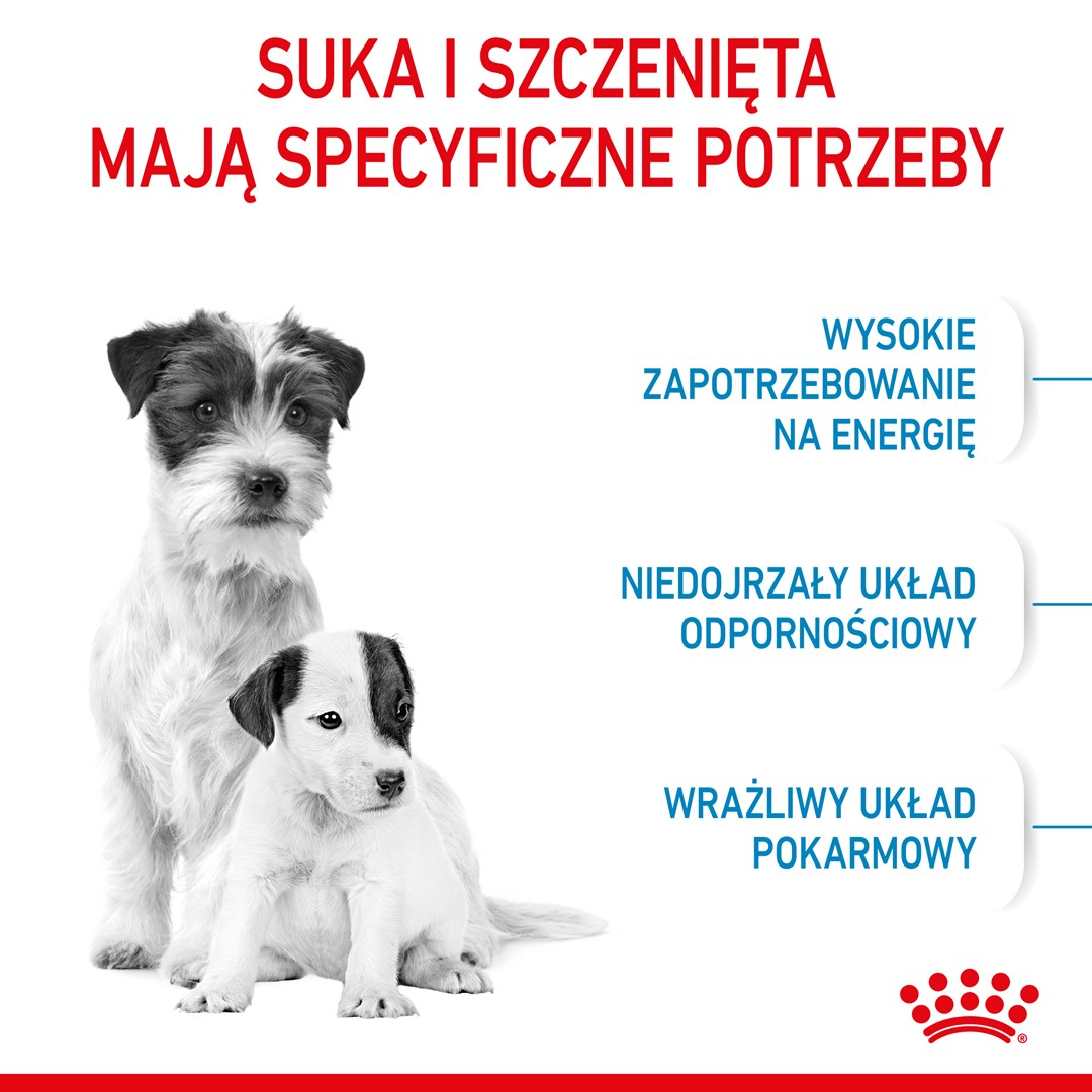 Pies i szczeniak, czarno-białe, siedzą na białym tle. Polski tekst podkreśla specyficzne potrzeby, np. energia, odporność.