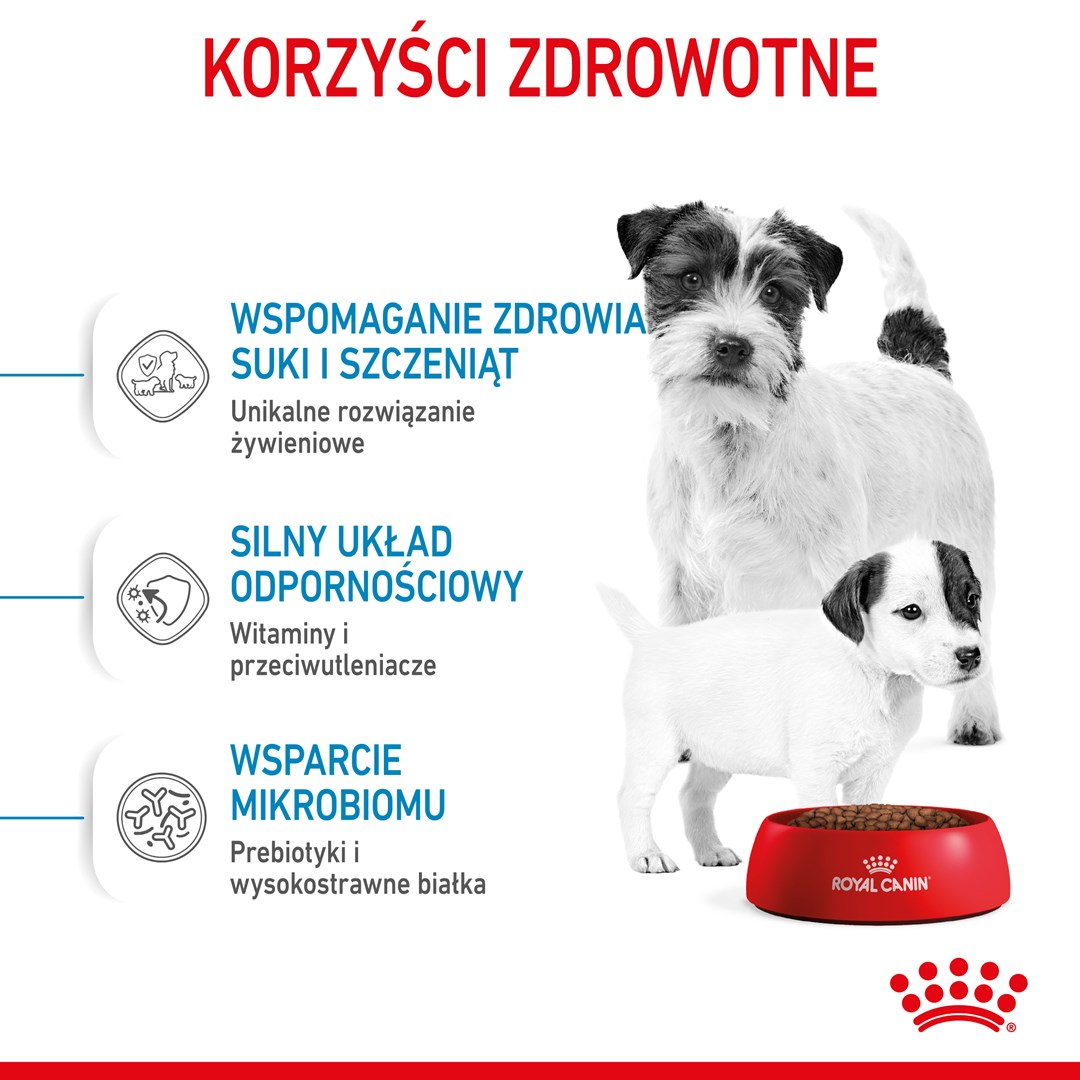 Dwa psy, matka i szczeniak, stoją obok czerwonej miski Royal Canin. Tekst podkreśla korzyści zdrowotne, w tym wsparcie dla matek, szczeniąt i odporności.