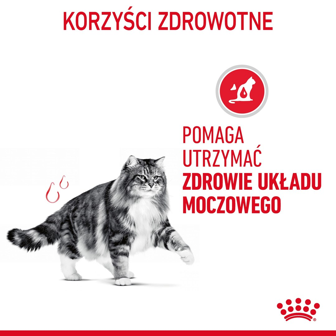 Kot na białym tle. Tekst po polsku: 'Korzyści zdrowotne' i 'Pomaga utrzymać zdrowie układu moczowego'.