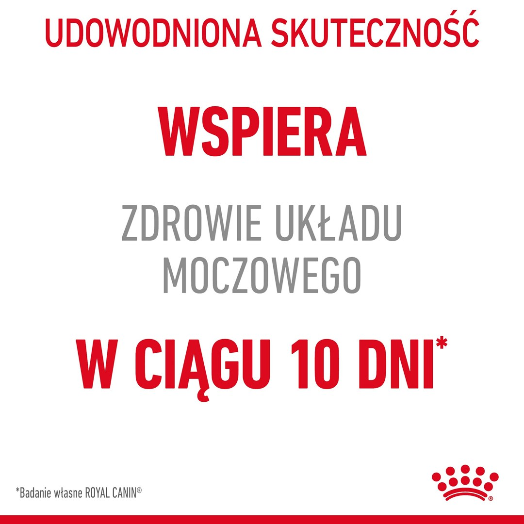 Obraz zawiera polski tekst o wspieraniu zdrowia układu moczowego w 10 dni. Używa czerwonego i szarego tekstu na białym tle.