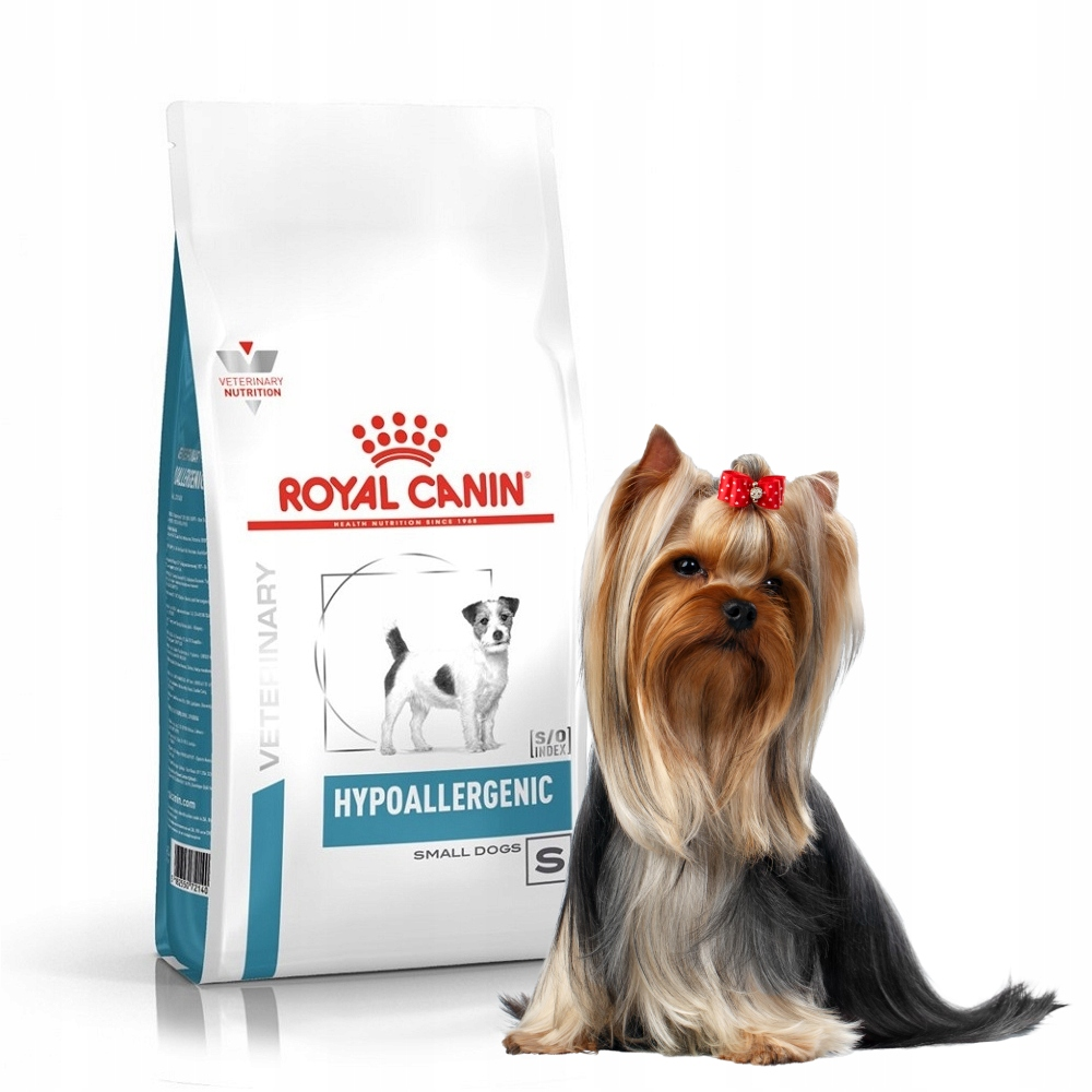Yorkshire Terrier z czerwoną kokardą siedzi obok worka karmy dla psów Royal Canin. Worek jest biały z niebieskimi akcentami.