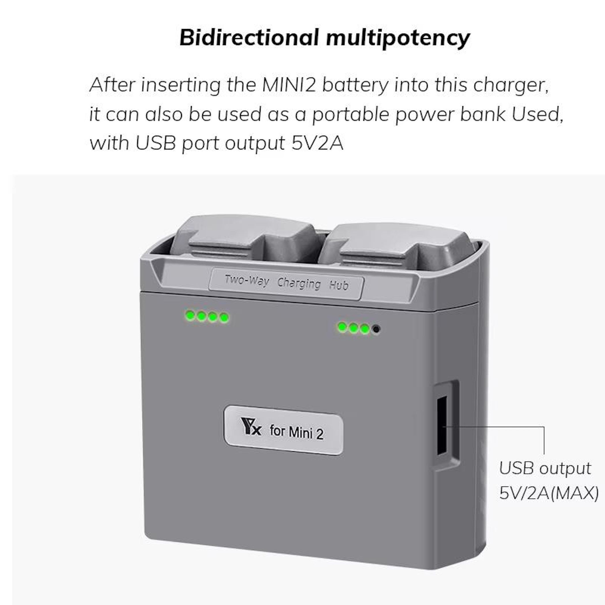 Ein graues Ladegerät mit zwei Schlitzen, grünen Lichtern und einem USB-Anschluss. Text zeigt das Aufladen von Mini 2 Batterien.
