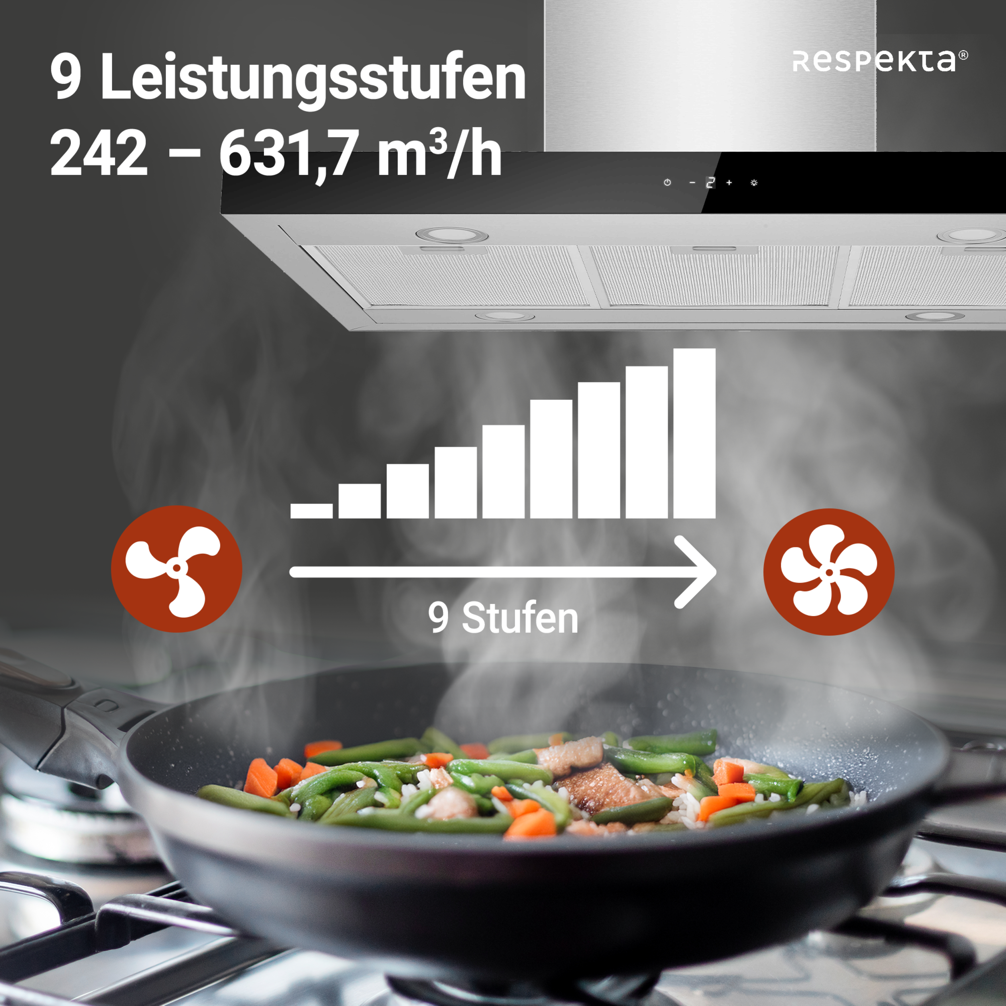 Eine Pfanne mit Essen, eine Dunstabzugshaube mit Fächergrafik und Text, der neun Leistungsstufen anzeigt.