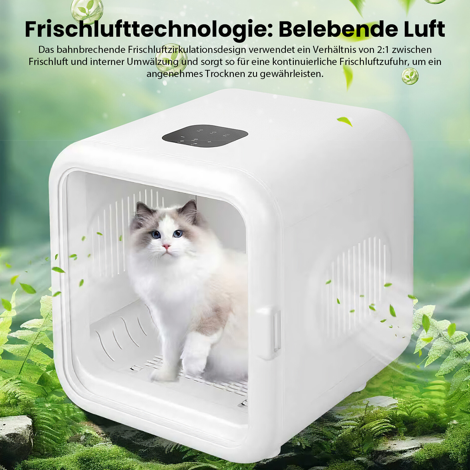 Eine weiße Katze mit blauen Augen sitzt in einer weißen, klaren Haustiertrocknungsbox. Der Hintergrund hat grüne Pflanzen.