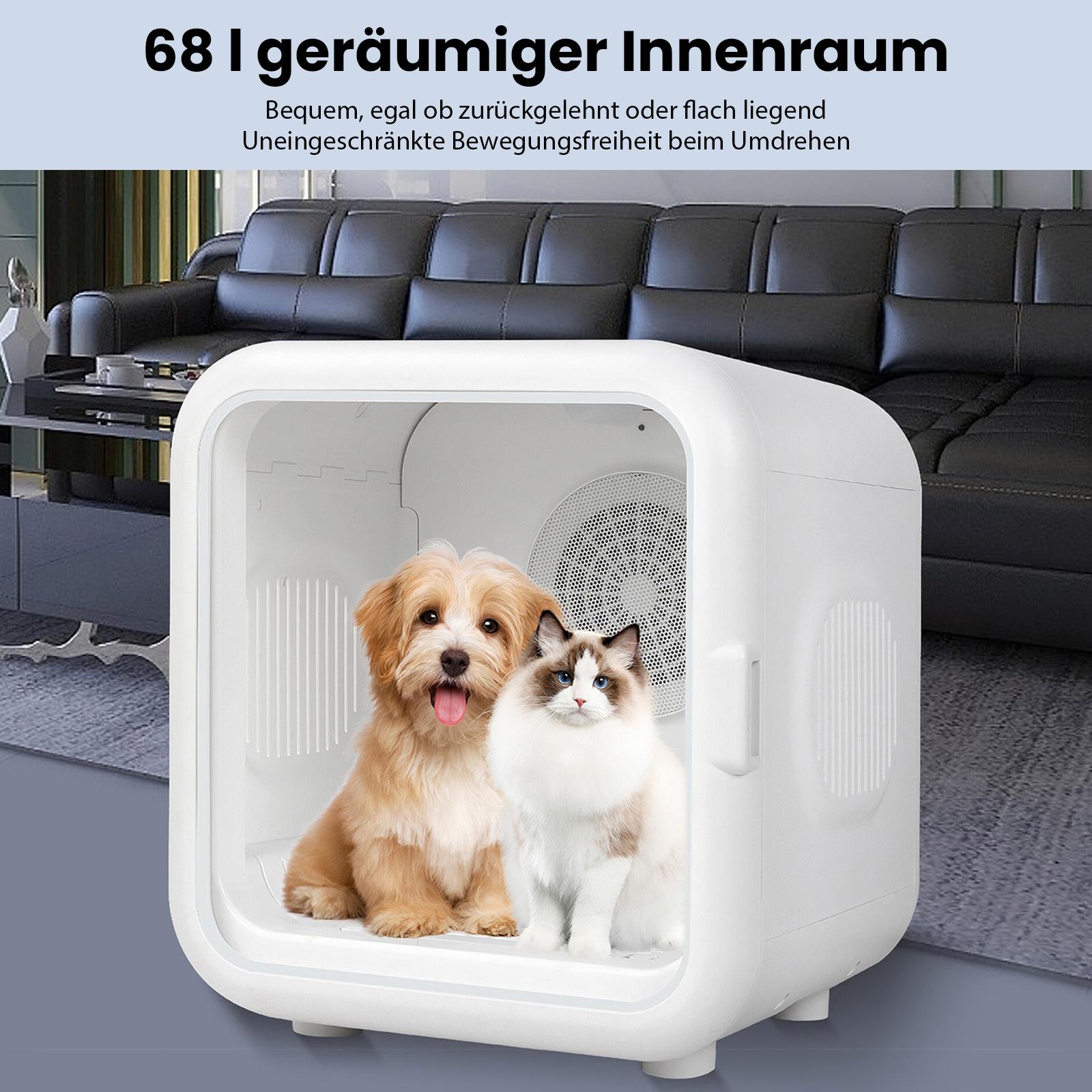Ein Hund und eine Katze befinden sich in einem weißen Haustierhaus. Der Hund ist hellbraun, die Katze ist weiß, schwarz und blauäugig.