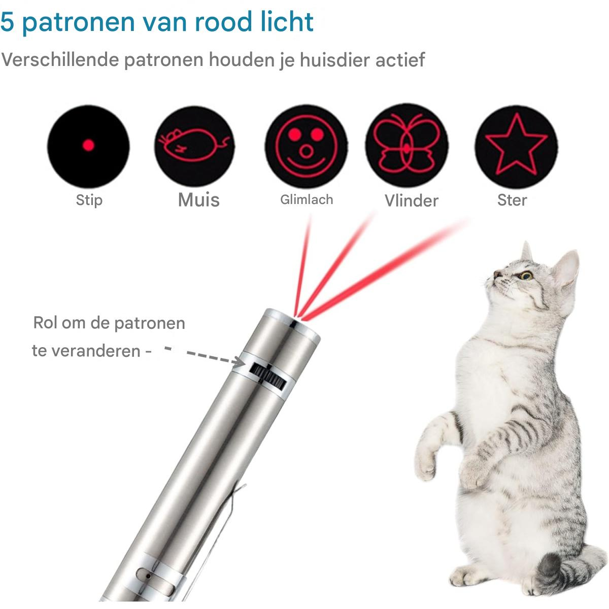Eine Katze blickt auf einen roten Laserpointer. Das Bild zeigt Lichtmuster: Punkt, Maus, Smiley, Schmetterling und Stern.